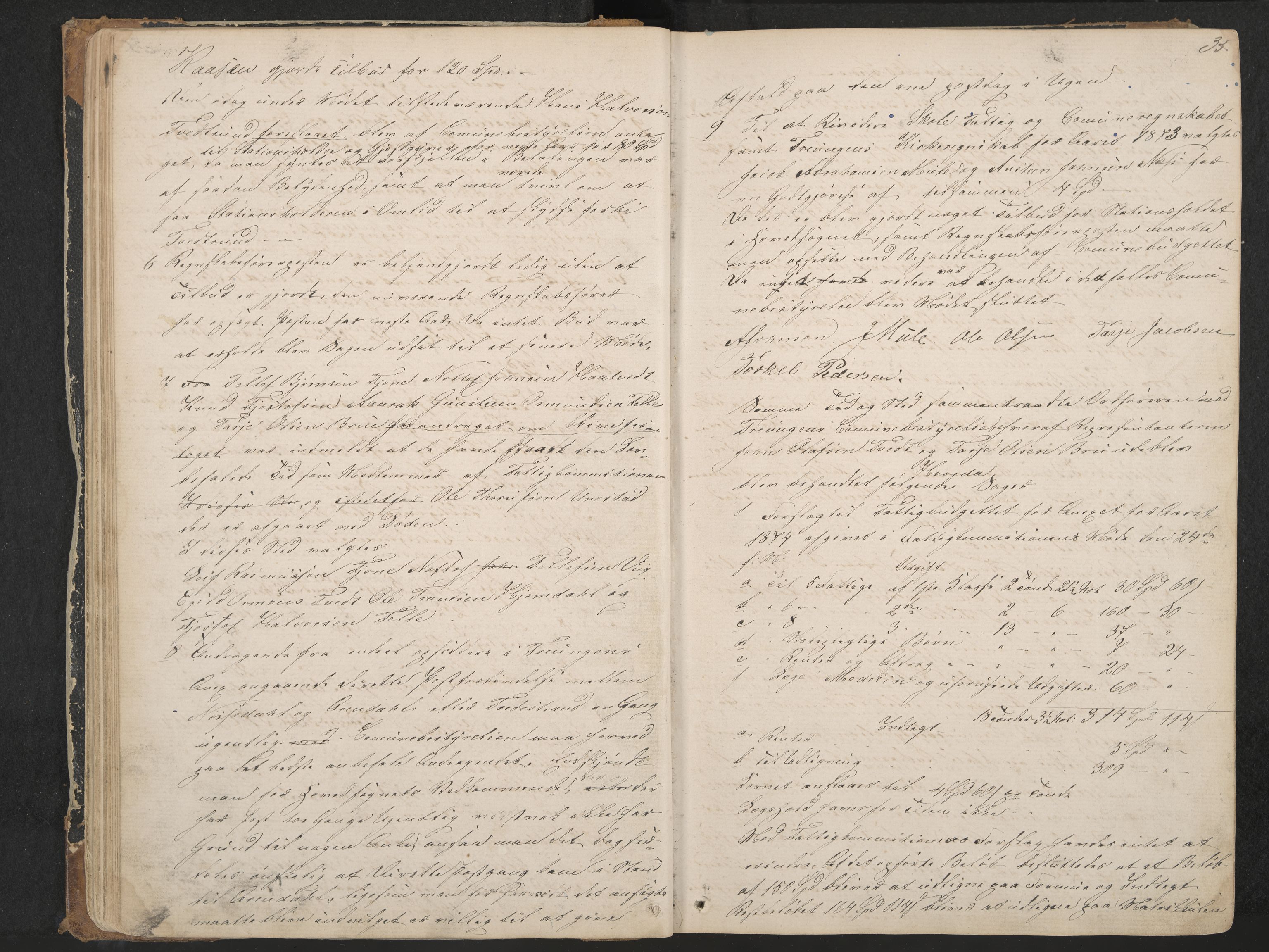 Nissedal formannskap og sentraladministrasjon, IKAK/0830021-1/A/L0002: Møtebok, 1870-1892, p. 35