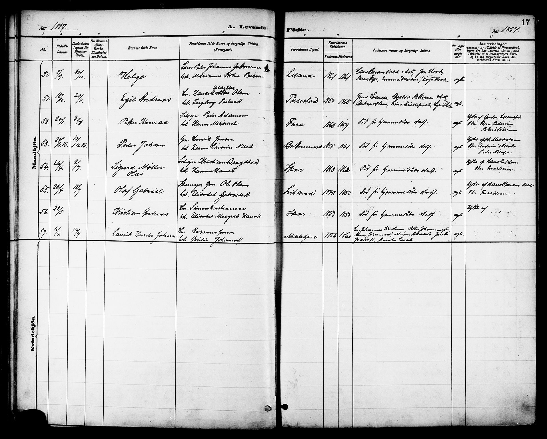 Ministerialprotokoller, klokkerbøker og fødselsregistre - Nordland, AV/SAT-A-1459/863/L0898: Parish register (official) no. 863A10, 1886-1897, p. 17