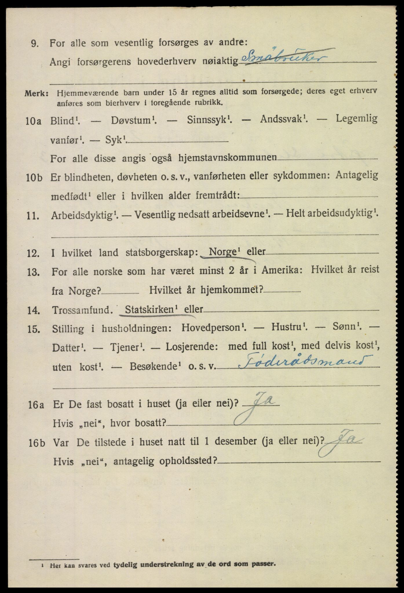 SAH, 1920 census for Øystre Slidre, 1920, p. 2432