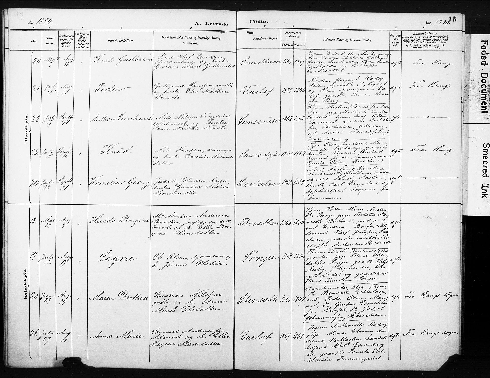 Eiker kirkebøker, SAKO/A-4/F/Fc/L0002: Parish register (official) no. III 2, 1889-1897, p. 15