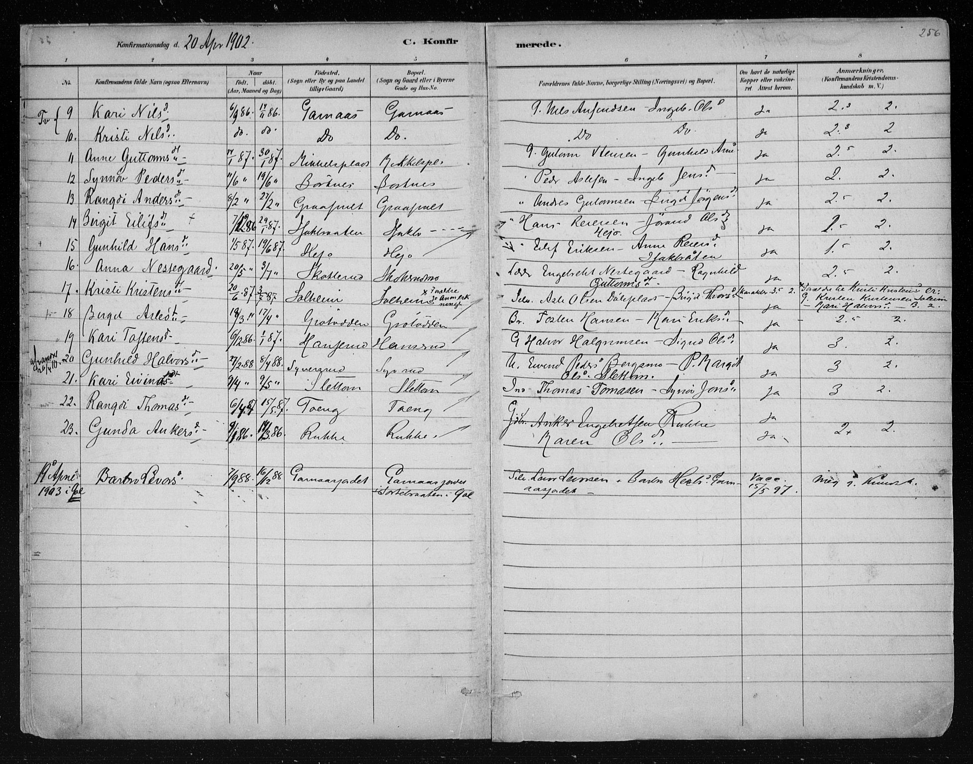 Nes kirkebøker, AV/SAKO-A-236/F/Fa/L0011: Parish register (official) no. 11, 1881-1912, p. 256