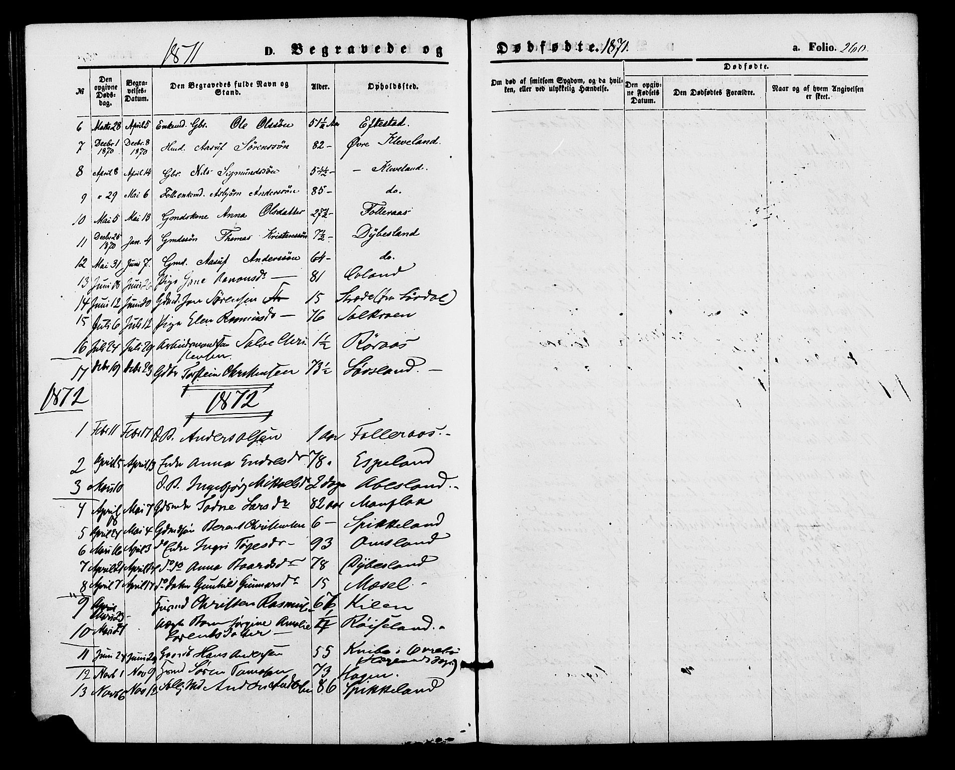 Bjelland sokneprestkontor, AV/SAK-1111-0005/F/Fa/Fab/L0003: Parish register (official) no. A 3, 1870-1887, p. 260