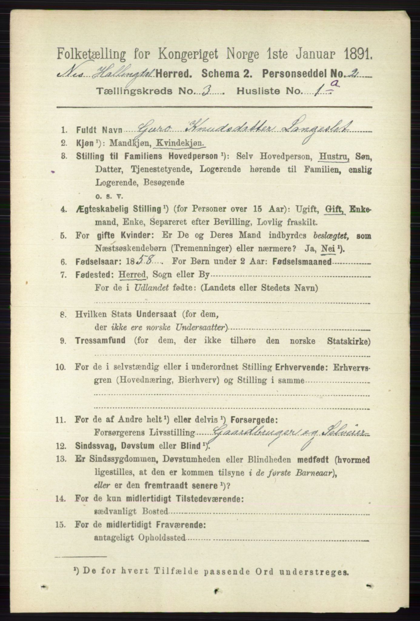 RA, 1891 census for 0616 Nes, 1891, p. 1508