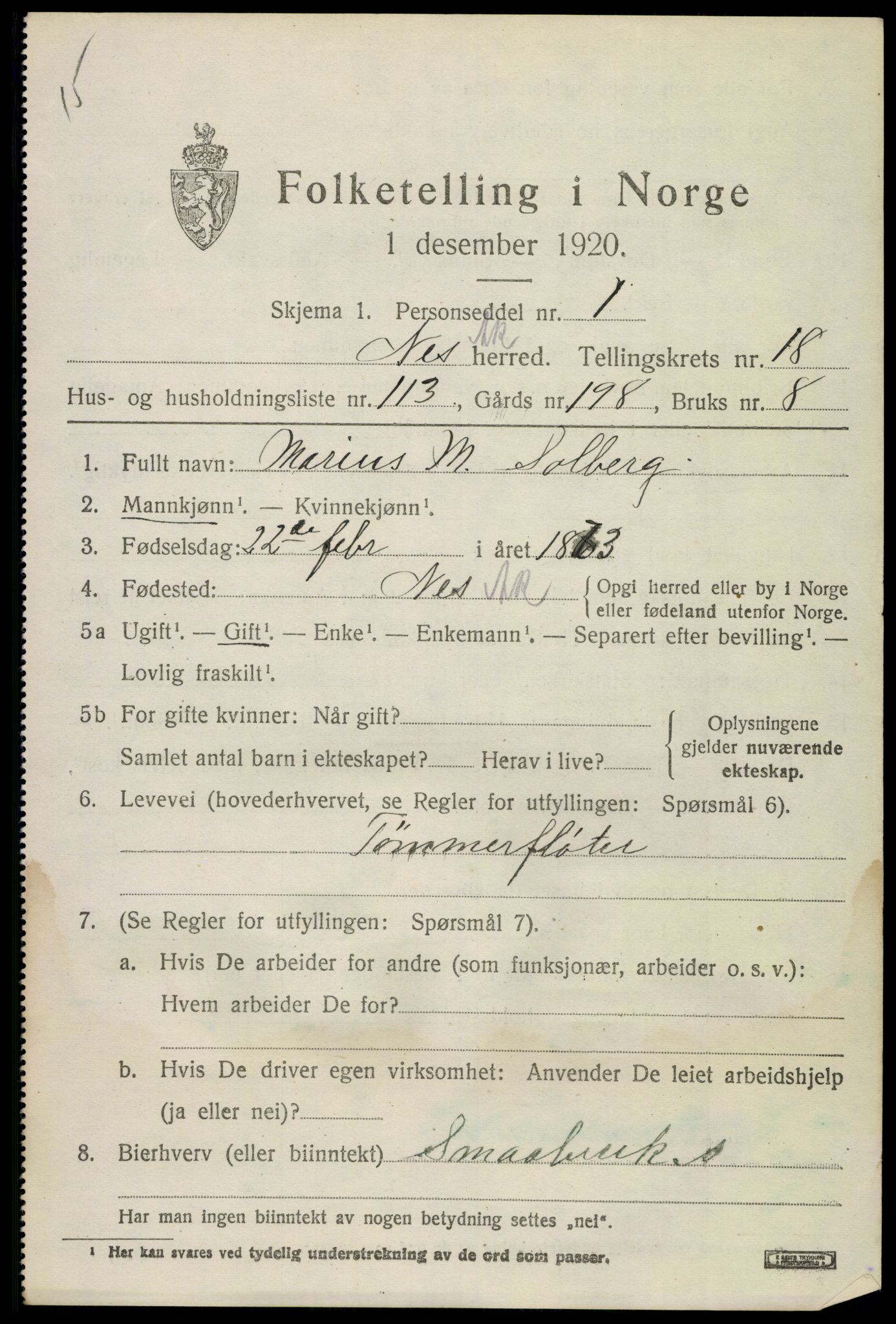 SAO, 1920 census for Nes, 1920, p. 19100