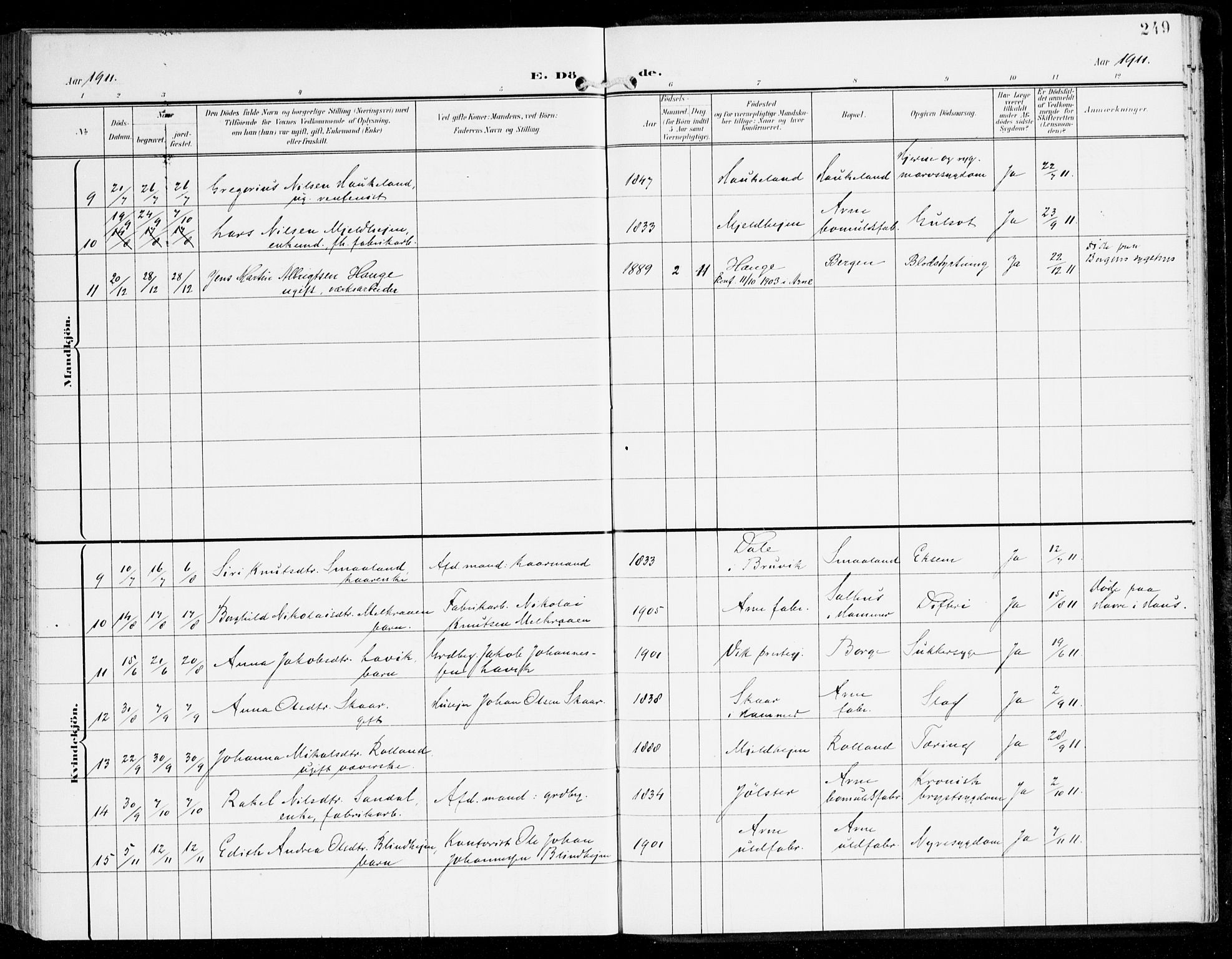 Haus sokneprestembete, AV/SAB-A-75601/H/Haa: Parish register (official) no. D 2, 1899-1912, p. 249