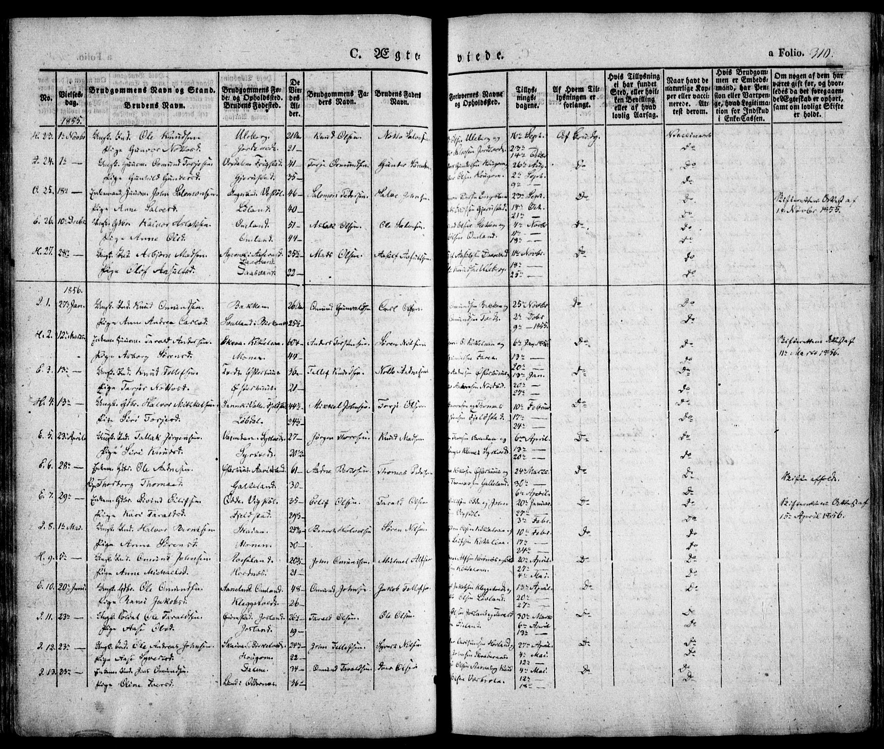 Evje sokneprestkontor, SAK/1111-0008/F/Fa/Faa/L0005: Parish register (official) no. A 5, 1843-1865, p. 310
