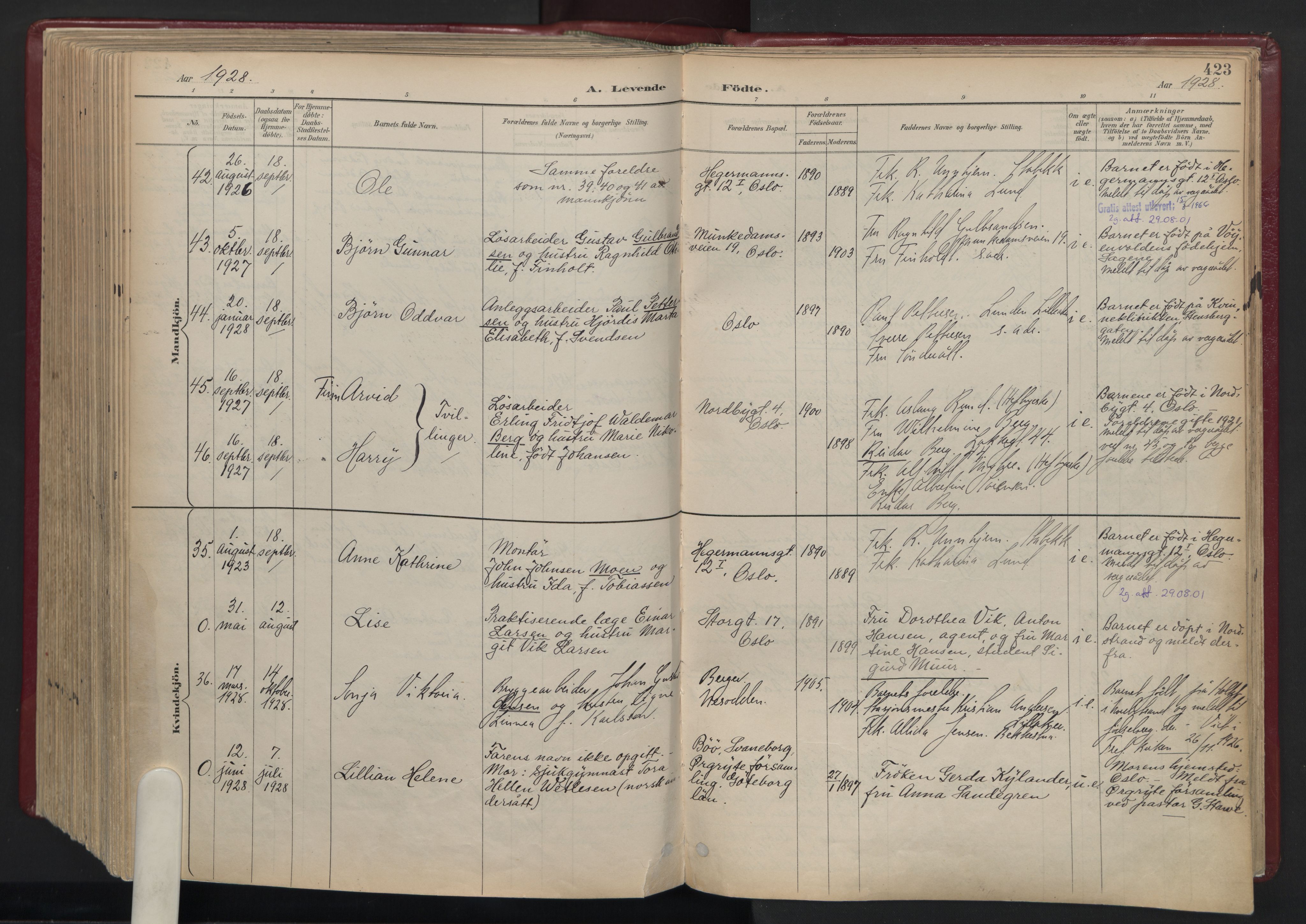 Oslo domkirke Kirkebøker, AV/SAO-A-10752/F/Fa/L0039: Parish register (official) no. 39, 1893-1932, p. 423