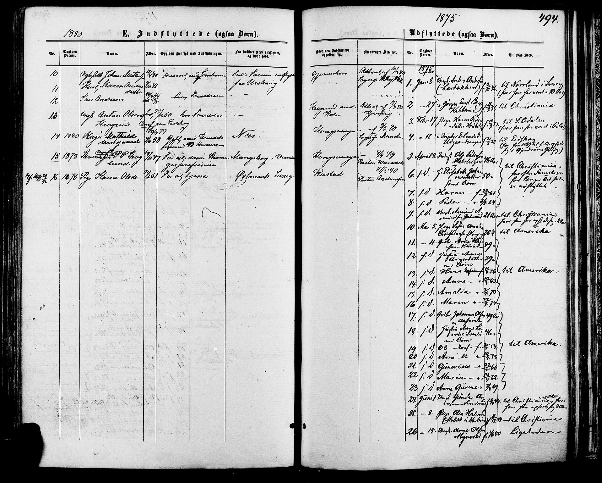 Vinger prestekontor, SAH/PREST-024/H/Ha/Haa/L0012: Parish register (official) no. 12, 1871-1880, p. 494