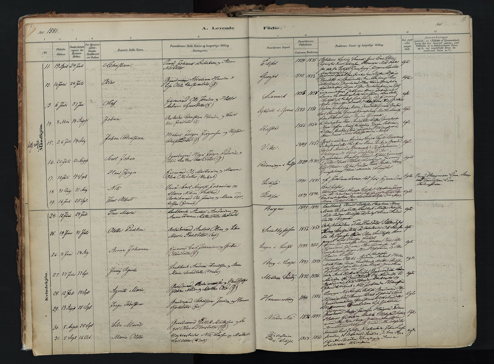 Hof kirkebøker, AV/SAKO-A-64/F/Fa/L0007: Parish register (official) no. I 7, 1878-1940, p. 14