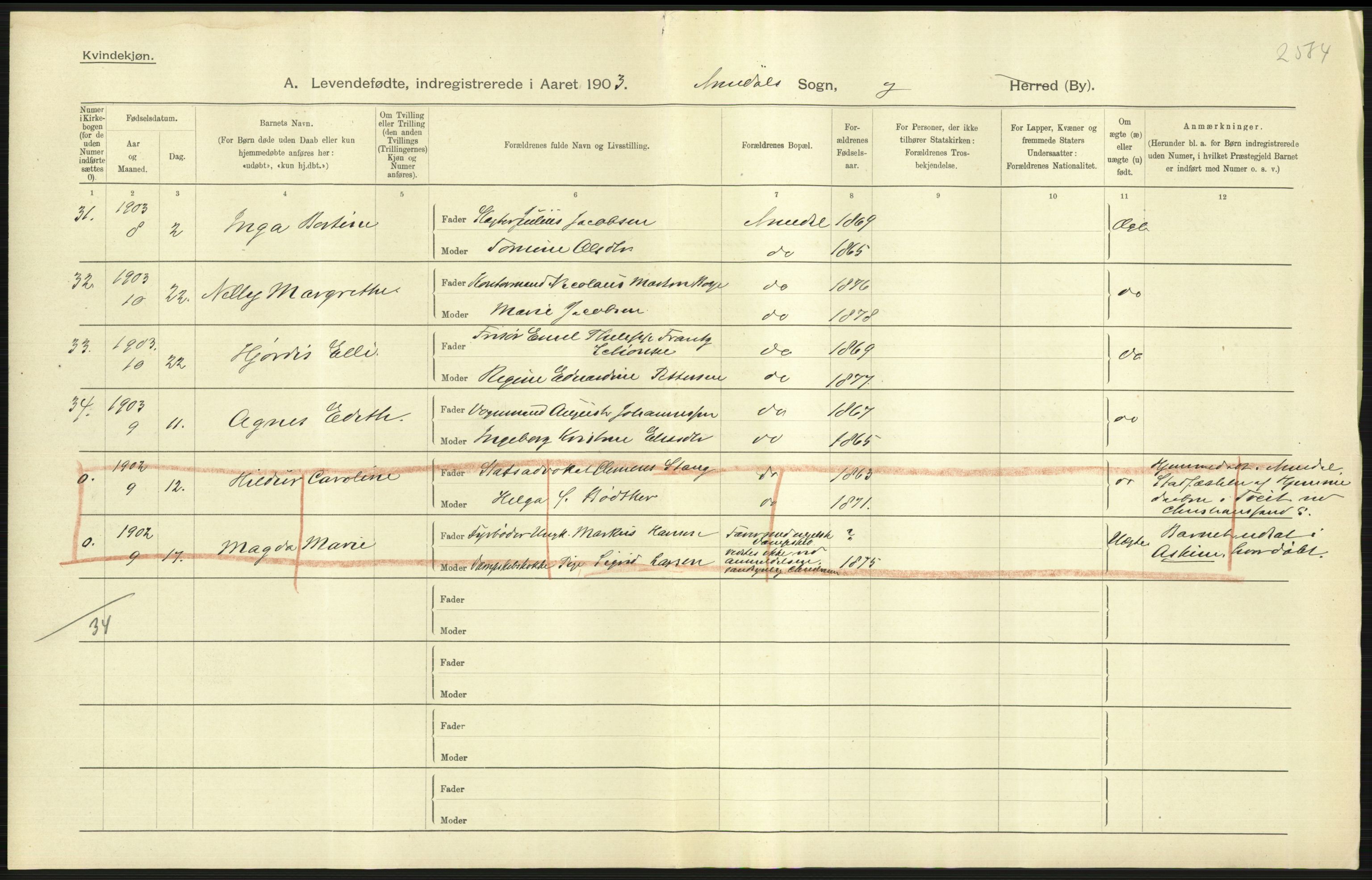 Statistisk sentralbyrå, Sosiodemografiske emner, Befolkning, AV/RA-S-2228/D/Df/Dfa/Dfaa/L0010: Nedenes amt: Fødte, gifte, døde, 1903, p. 255