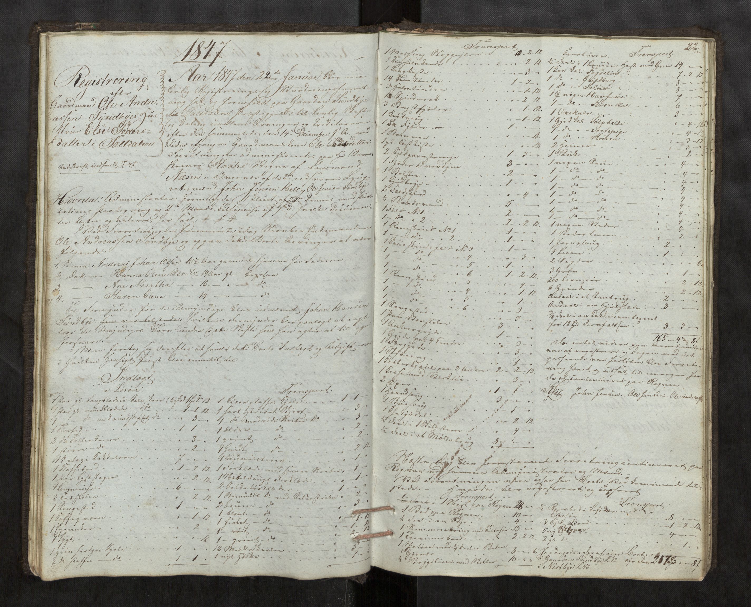 Salten sorenskriveri, AV/SAT-A-4578/1/3/3C/L0001: Skifteregistreringsprotokoll, 1846-1854, p. 22