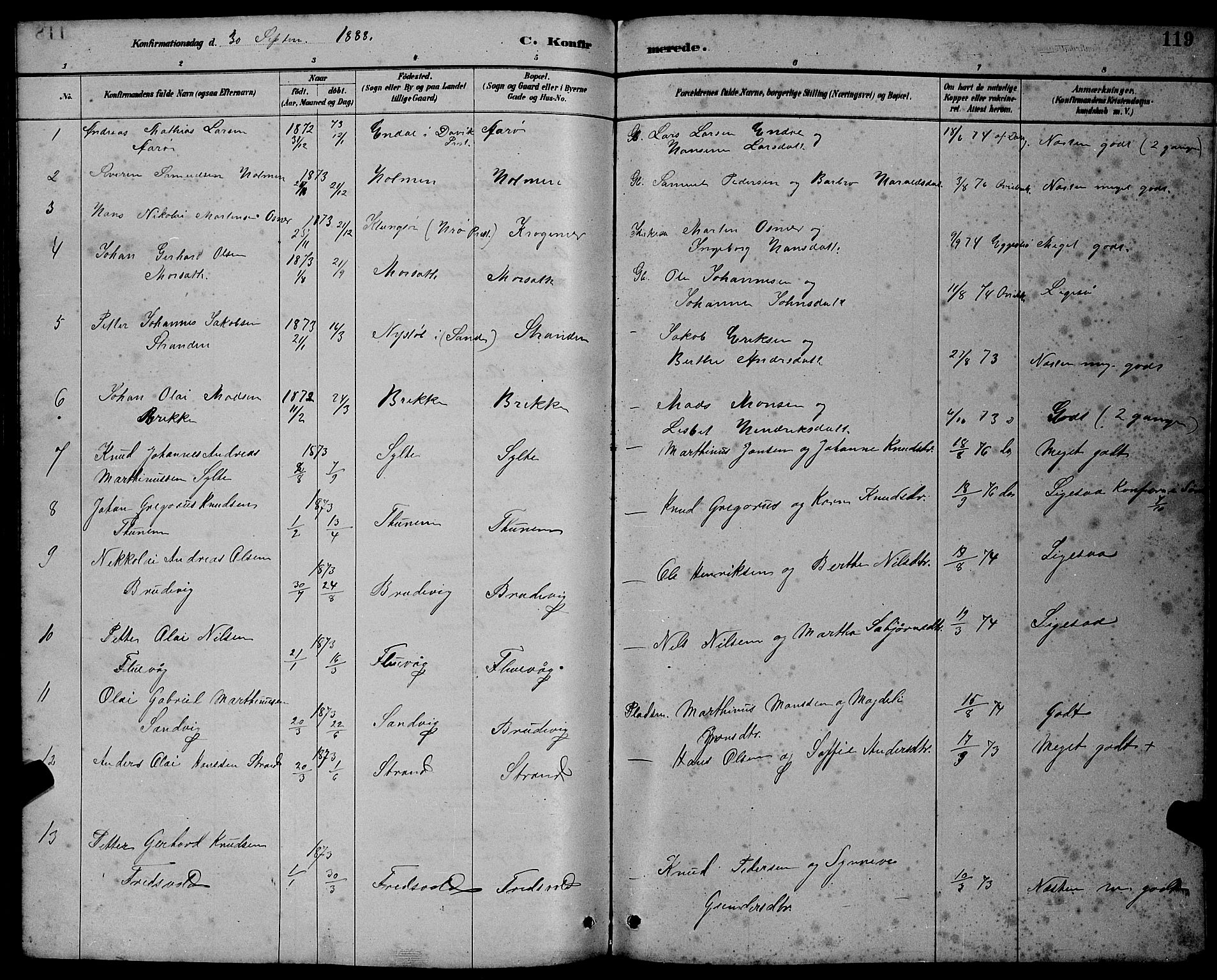 Ministerialprotokoller, klokkerbøker og fødselsregistre - Møre og Romsdal, AV/SAT-A-1454/501/L0017: Parish register (copy) no. 501C03, 1885-1901, p. 119