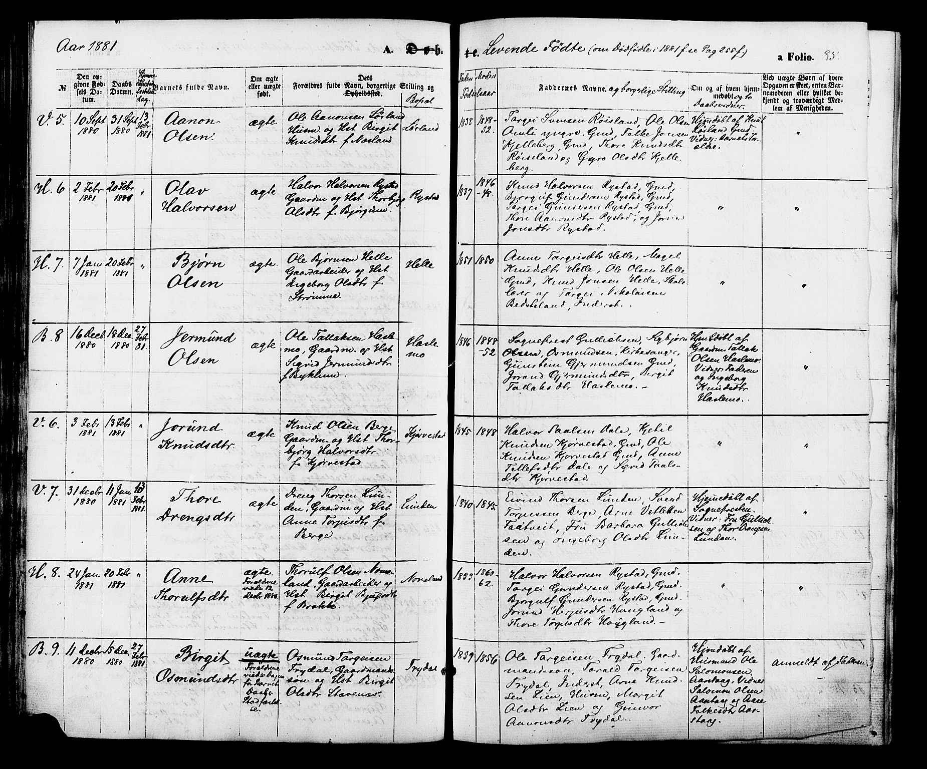 Valle sokneprestkontor, AV/SAK-1111-0044/F/Fa/Fac/L0008: Parish register (official) no. A 8, 1868-1882, p. 85