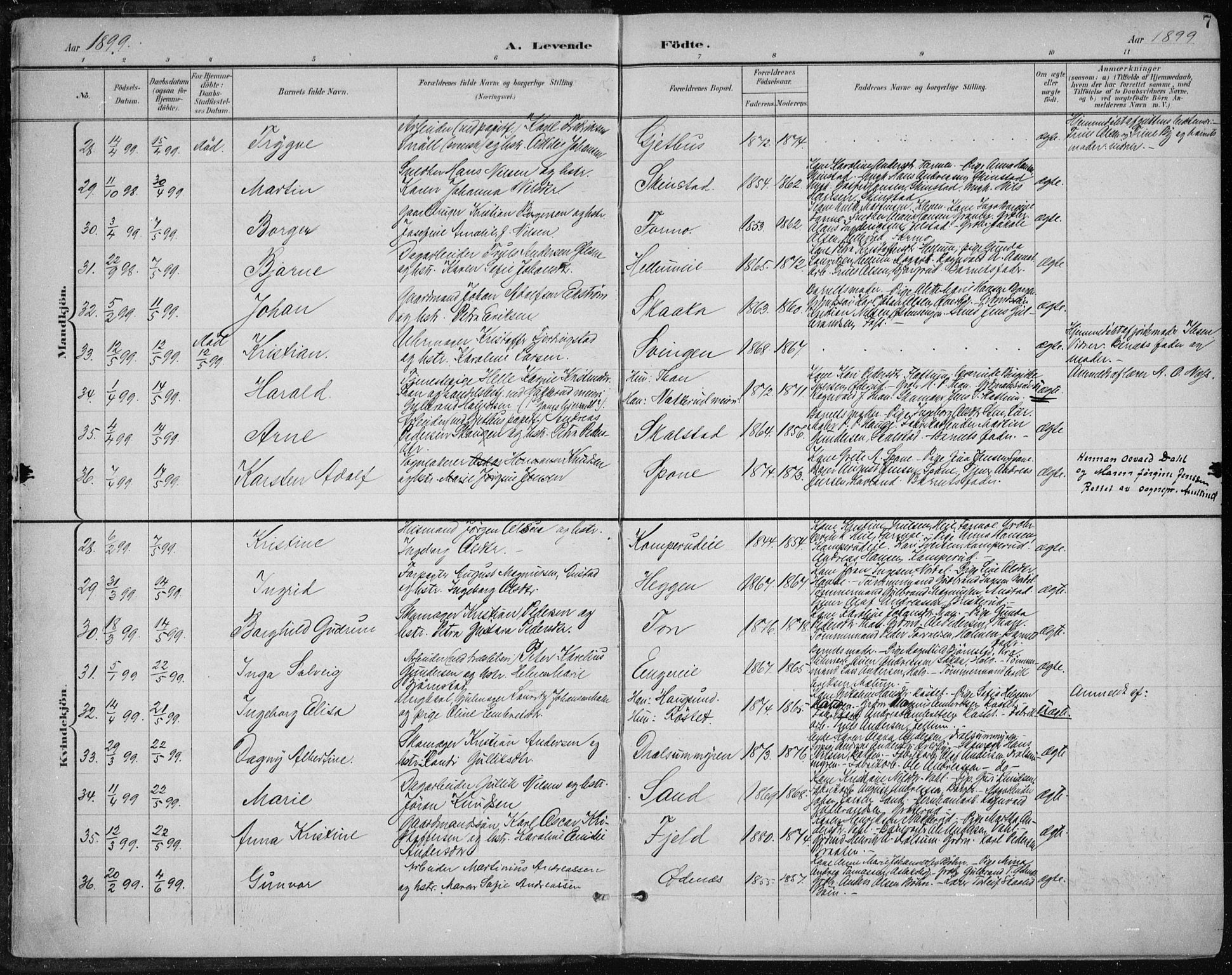 Modum kirkebøker, AV/SAKO-A-234/F/Fa/L0013: Parish register (official) no. 13, 1899-1907, p. 7