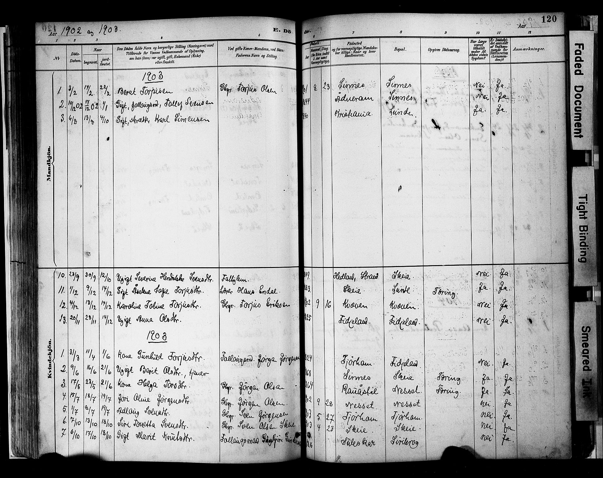 Sirdal sokneprestkontor, AV/SAK-1111-0036/F/Fa/Faa/L0001: Parish register (official) no. A 1, 1887-1910, p. 120