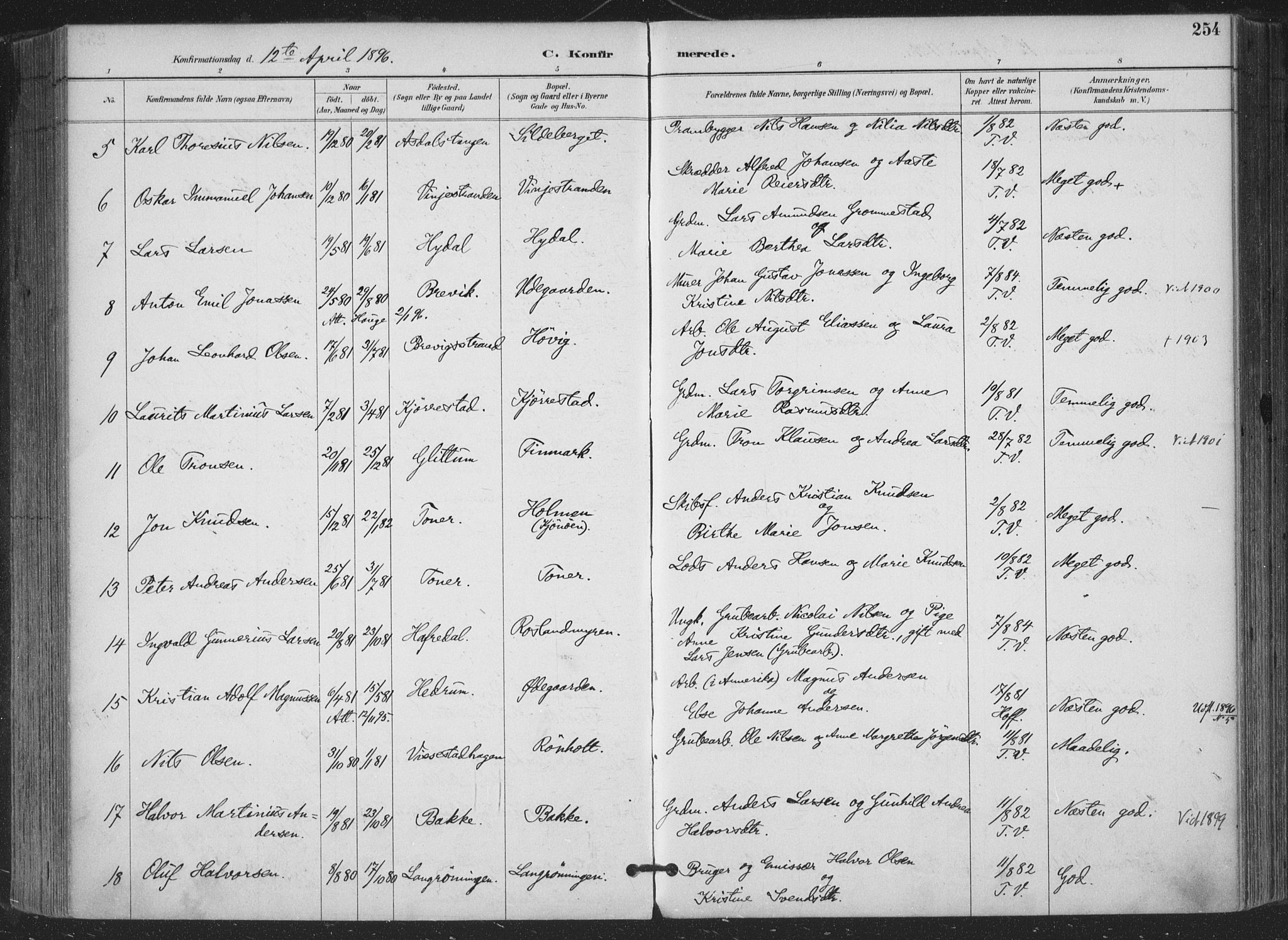 Bamble kirkebøker, AV/SAKO-A-253/F/Fa/L0008: Parish register (official) no. I 8, 1888-1900, p. 254