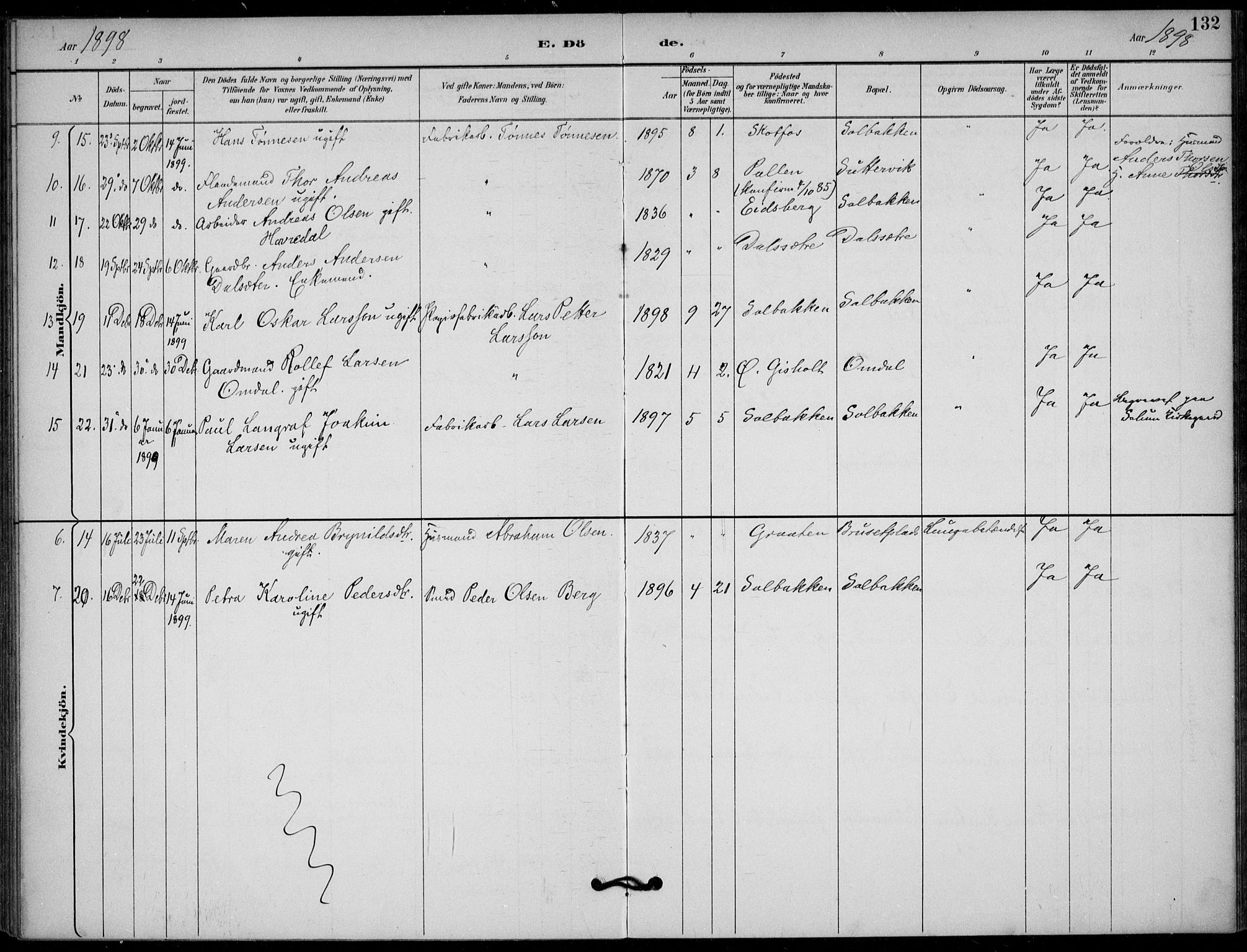 Solum kirkebøker, SAKO/A-306/F/Fb/L0002: Parish register (official) no. II 2, 1893-1901, p. 132