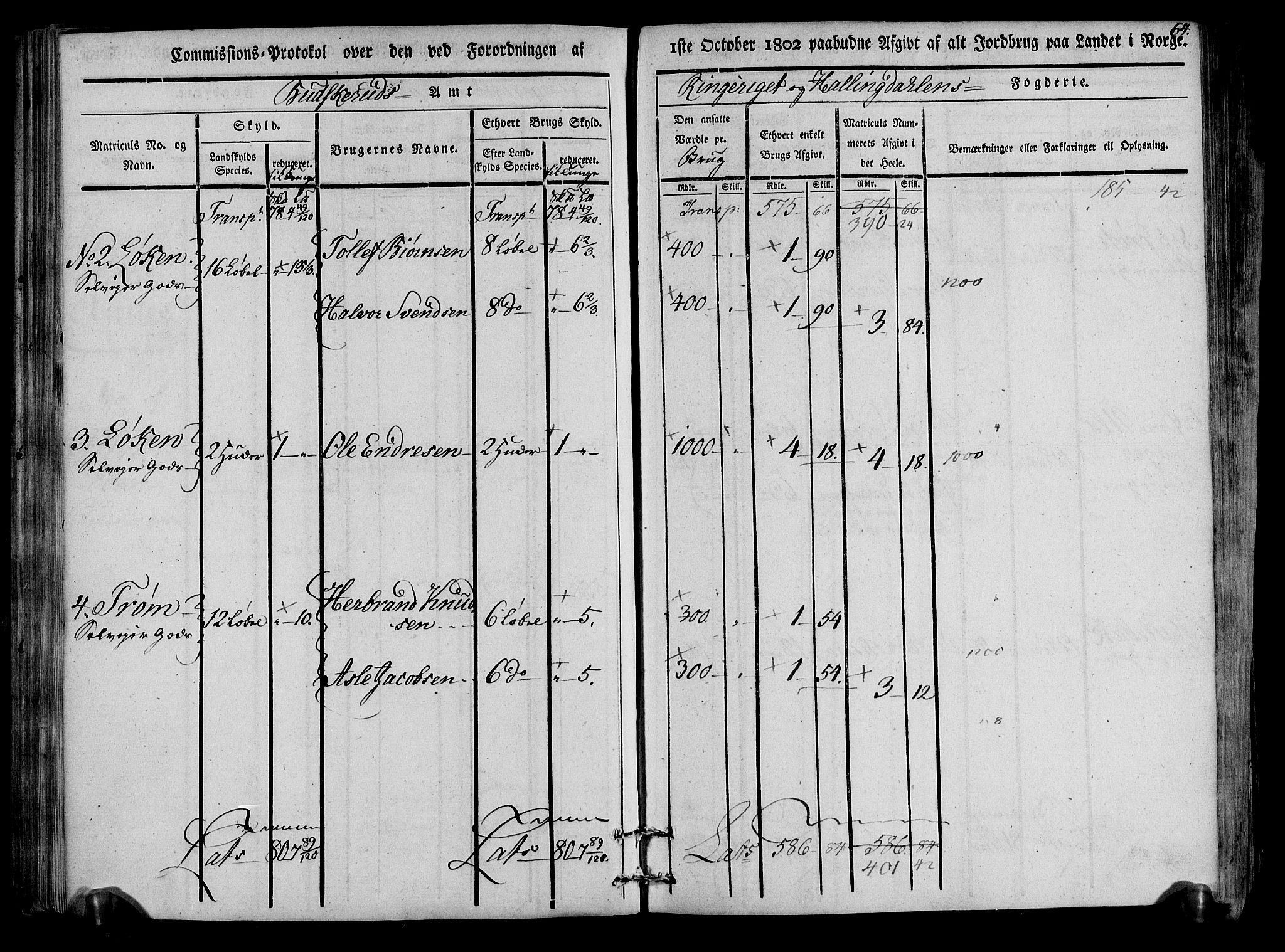 Rentekammeret inntil 1814, Realistisk ordnet avdeling, RA/EA-4070/N/Ne/Nea/L0047: Ringerike og Hallingdal fogderi. Kommisjonsprotokoll for Nes prestegjeld, 1803, p. 66