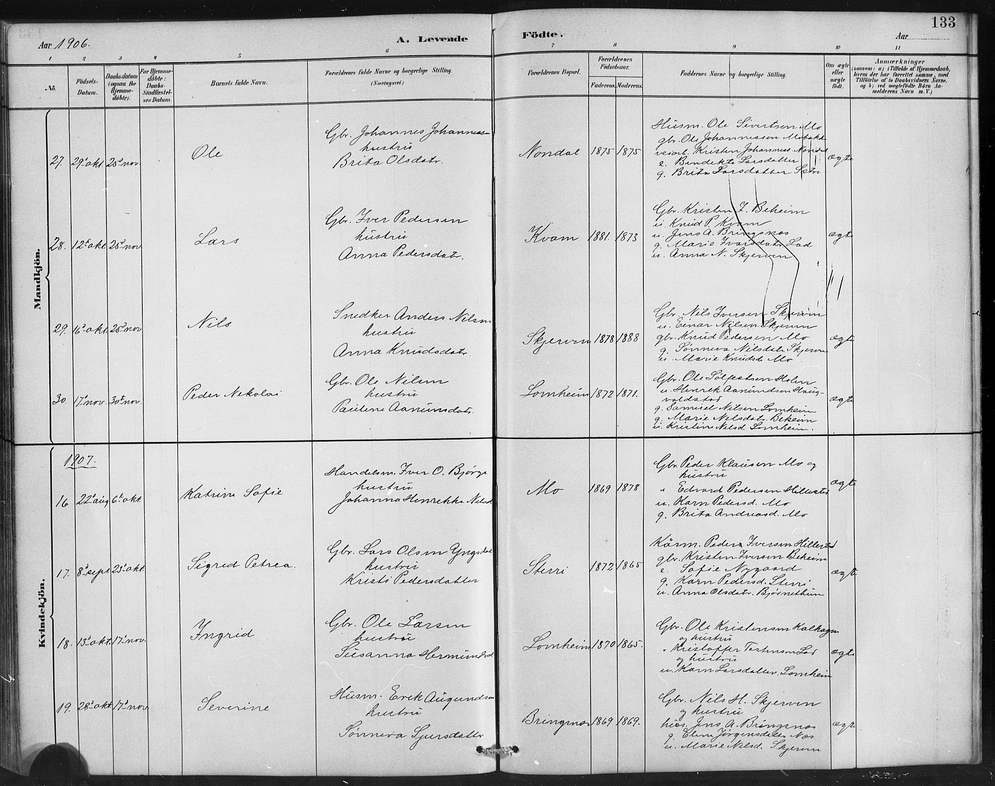 Hafslo sokneprestembete, AV/SAB-A-80301/H/Hab/Habb/L0001: Parish register (copy) no. B 1, 1882-1908, p. 133