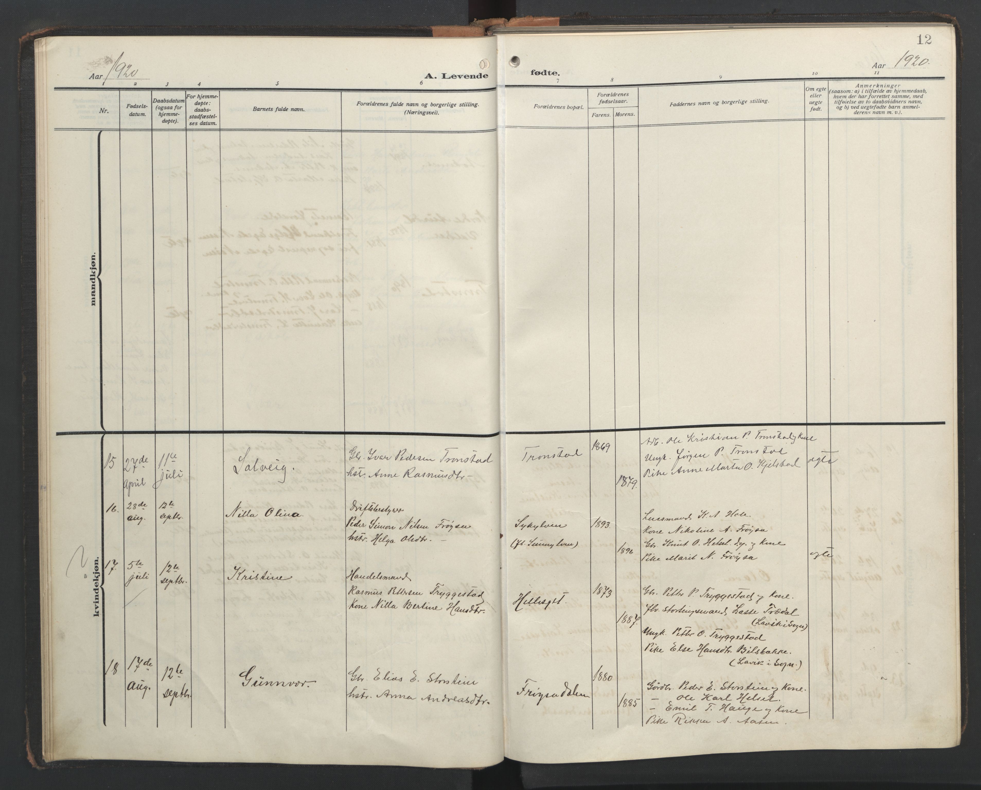 Ministerialprotokoller, klokkerbøker og fødselsregistre - Møre og Romsdal, AV/SAT-A-1454/517/L0232: Parish register (copy) no. 517C05, 1910-1946, p. 12