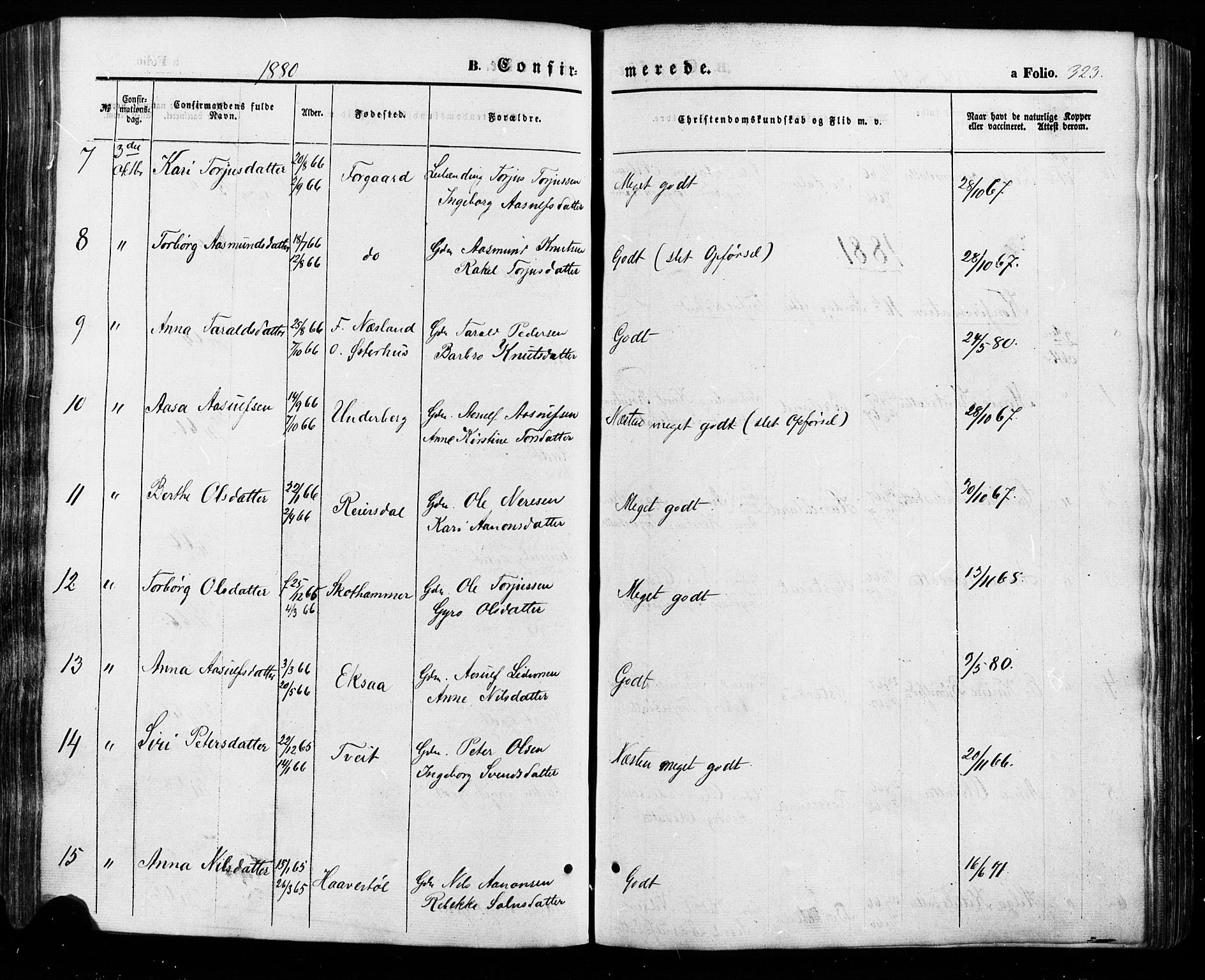 Åseral sokneprestkontor, AV/SAK-1111-0051/F/Fa/L0002: Parish register (official) no. A 2, 1854-1884, p. 323