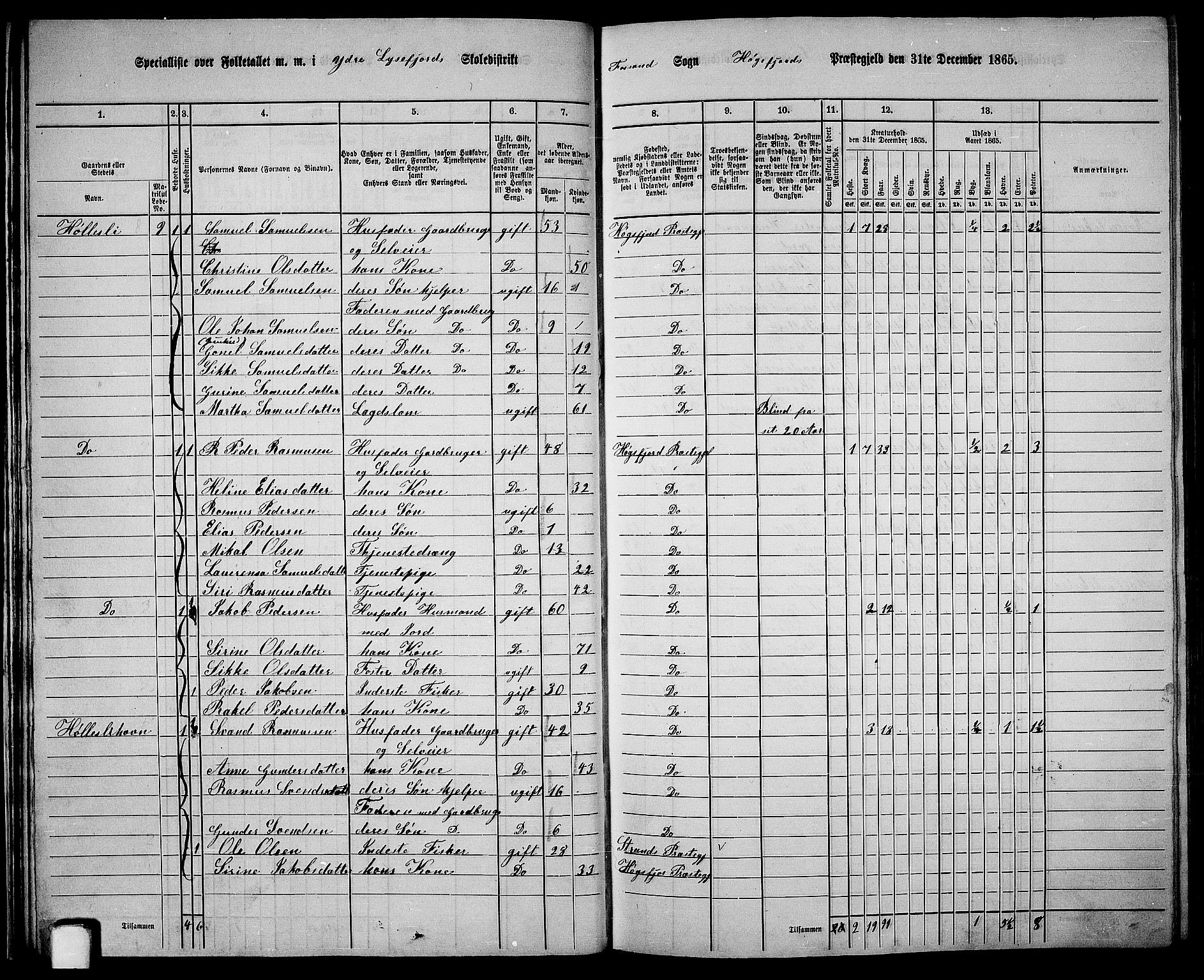 RA, 1865 census for Høgsfjord, 1865, p. 20