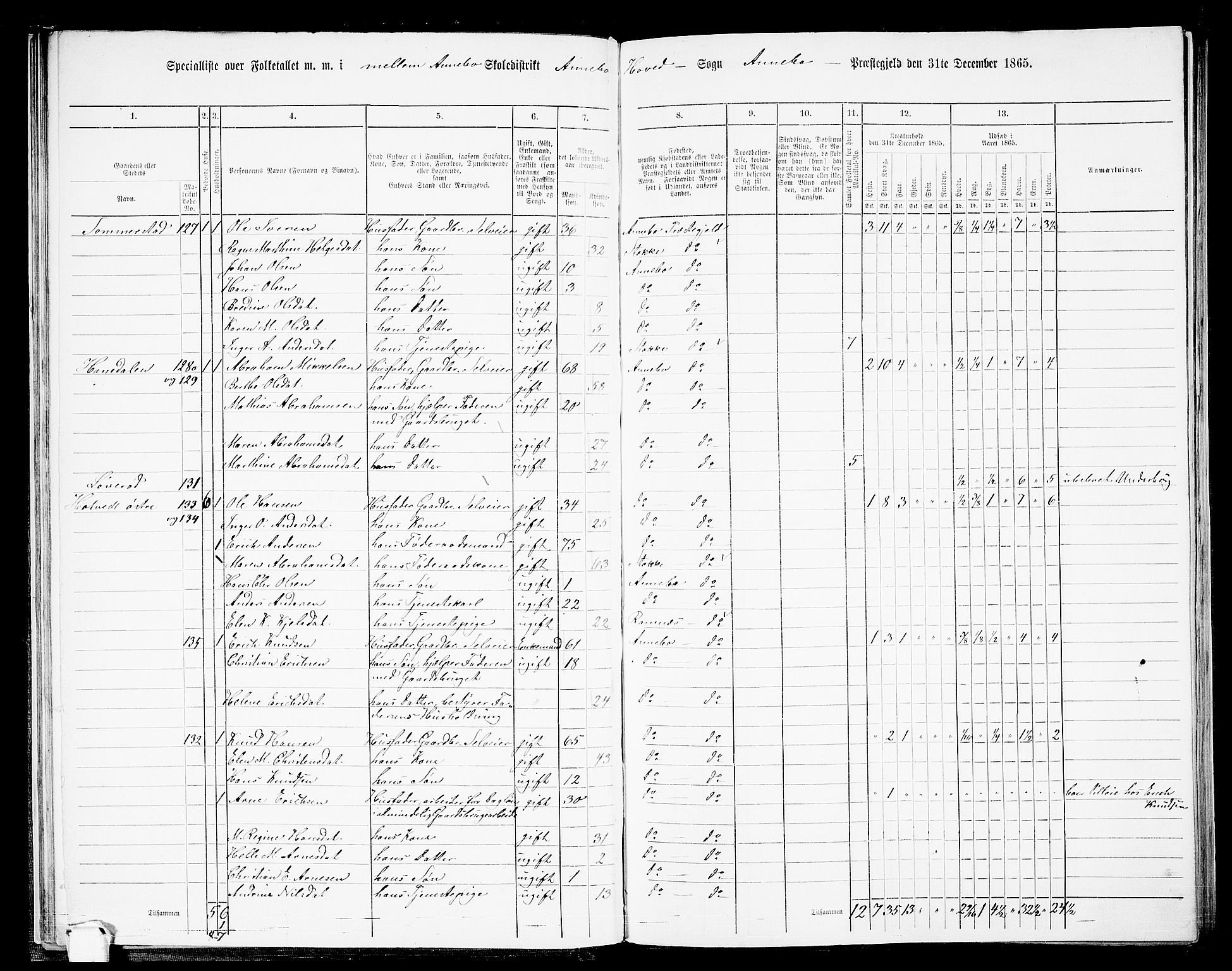 RA, 1865 census for Andebu, 1865, p. 30