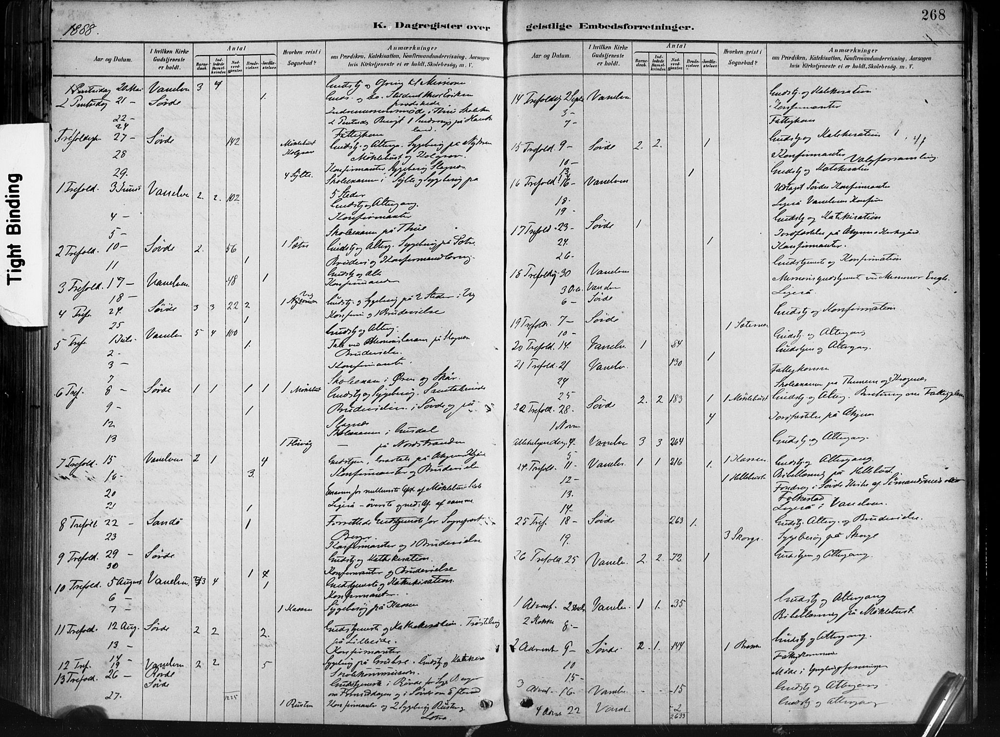 Ministerialprotokoller, klokkerbøker og fødselsregistre - Møre og Romsdal, AV/SAT-A-1454/501/L0008: Parish register (official) no. 501A08, 1885-1901, p. 268