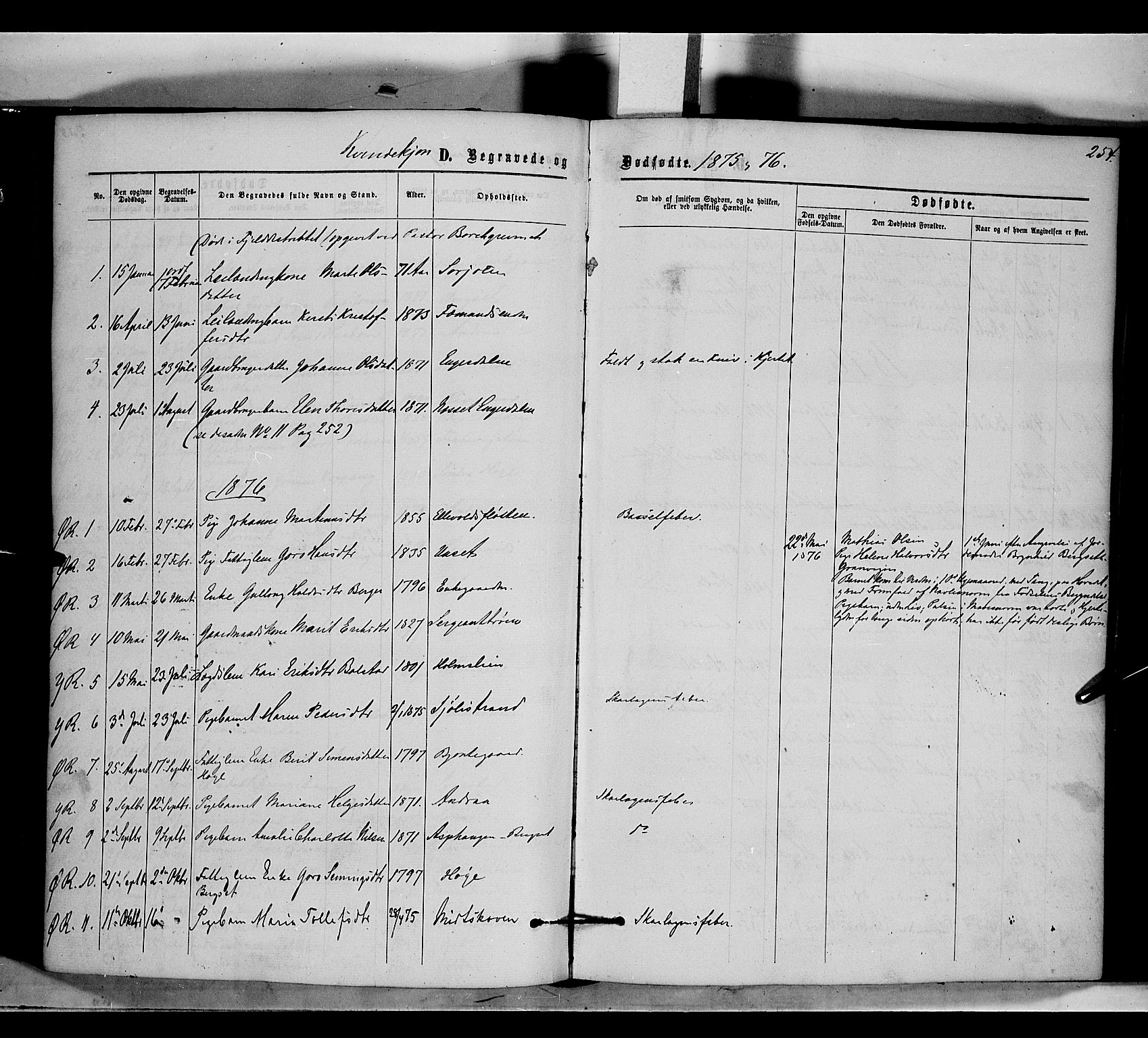 Rendalen prestekontor, SAH/PREST-054/H/Ha/Haa/L0006: Parish register (official) no. 6, 1867-1877, p. 254