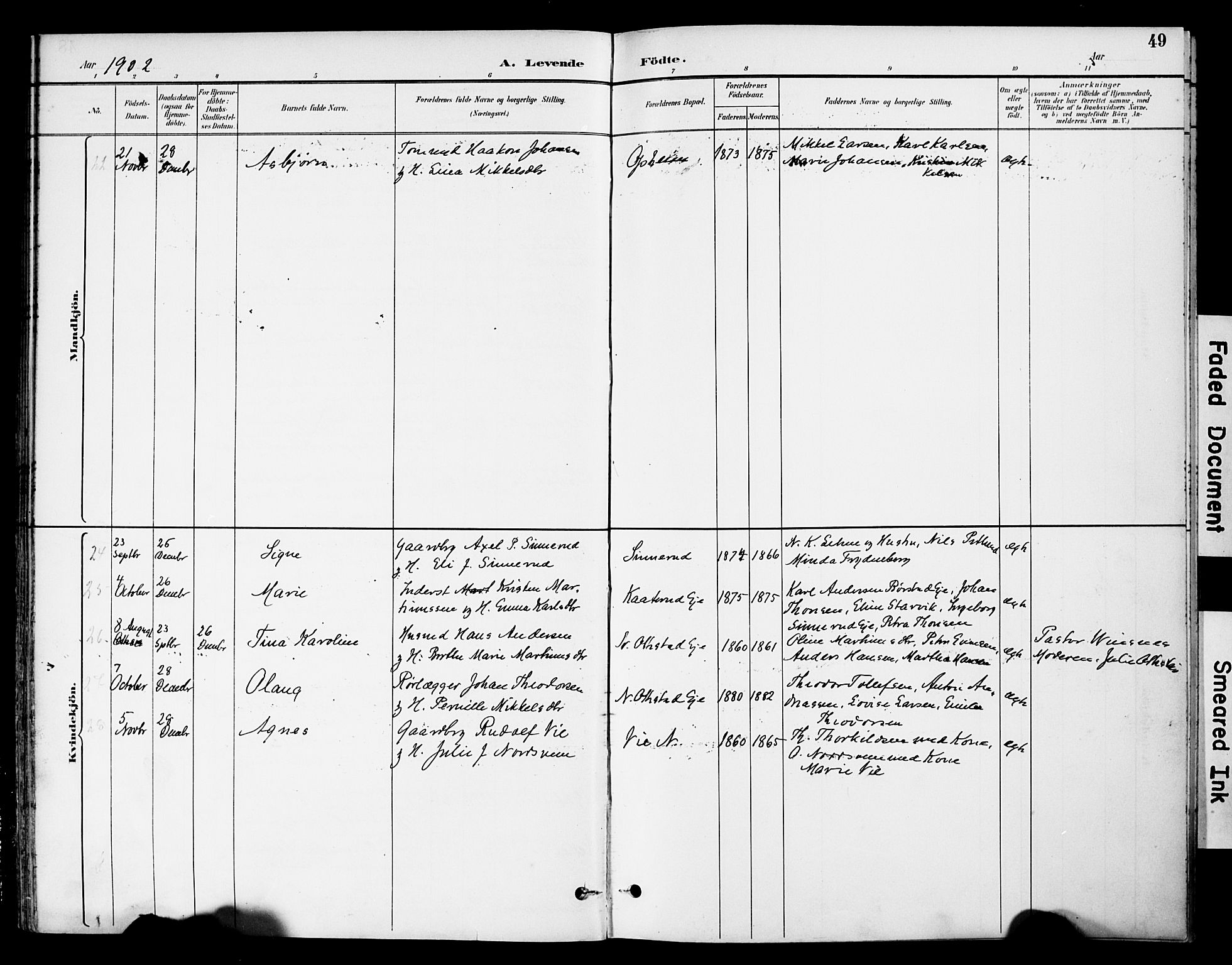 Stange prestekontor, AV/SAH-PREST-002/K/L0021: Parish register (official) no. 21, 1891-1902, p. 49