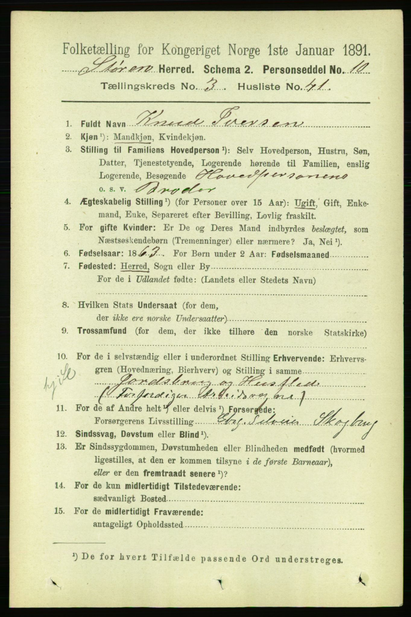 RA, 1891 census for 1648 Støren, 1891, p. 1035