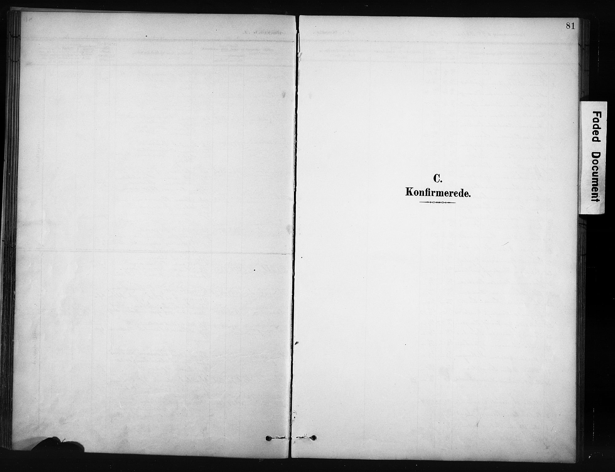 Nordre Land prestekontor, SAH/PREST-124/H/Ha/Hab/L0012: Parish register (copy) no. 12, 1891-1909, p. 81