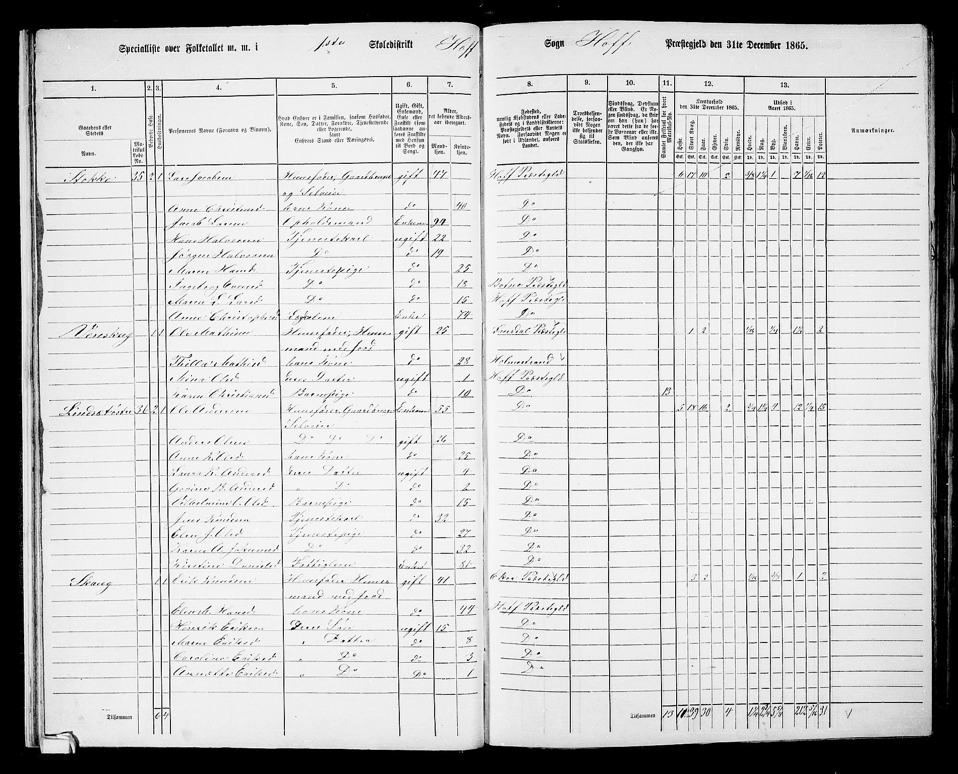 RA, 1865 census for Hof, 1865, p. 25