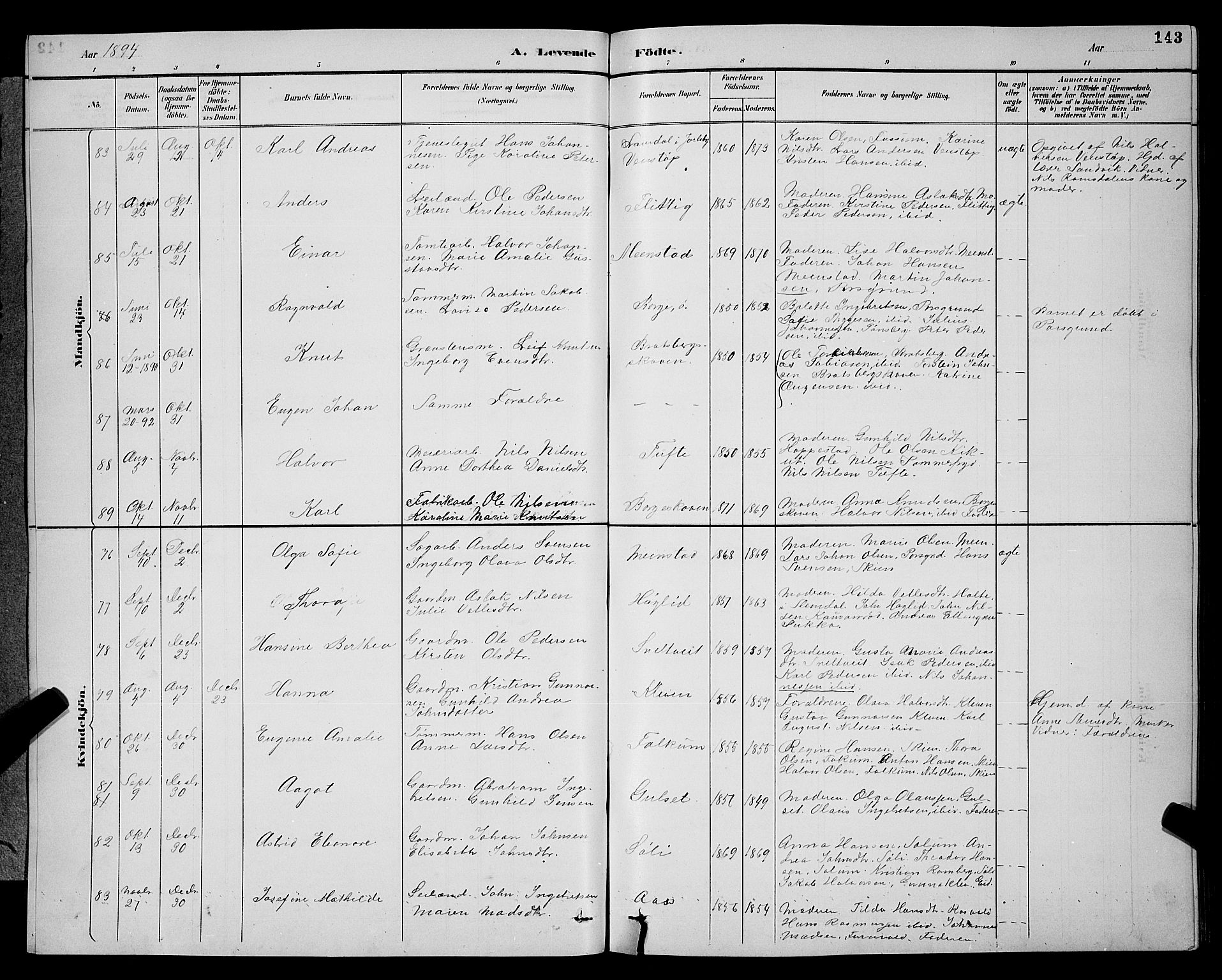Gjerpen kirkebøker, SAKO/A-265/G/Ga/L0002: Parish register (copy) no. I 2, 1883-1900, p. 143