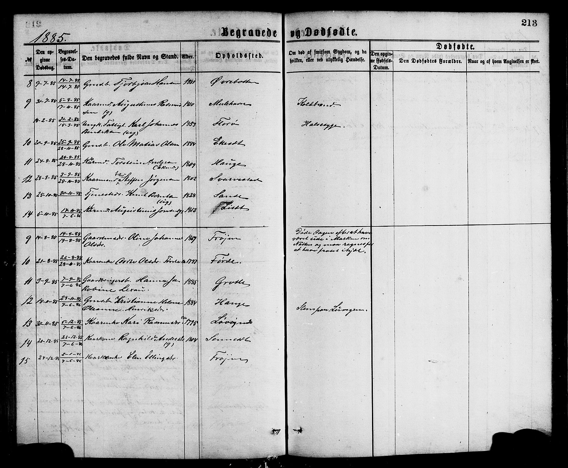 Bremanger sokneprestembete, AV/SAB-A-82201/H/Hab/Haba/L0002: Parish register (copy) no. A 2, 1866-1889, p. 213