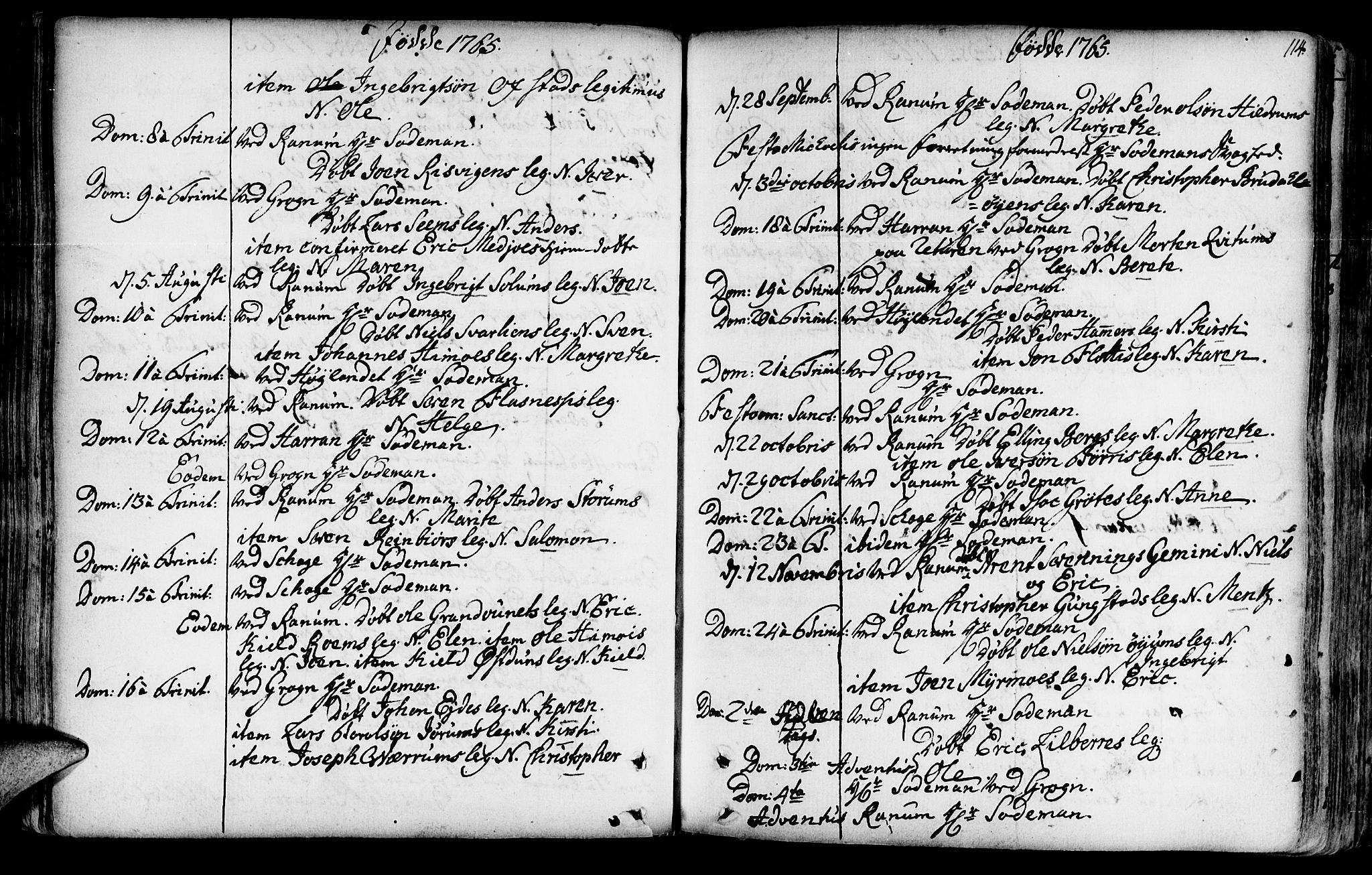 Ministerialprotokoller, klokkerbøker og fødselsregistre - Nord-Trøndelag, SAT/A-1458/764/L0542: Parish register (official) no. 764A02, 1748-1779, p. 114