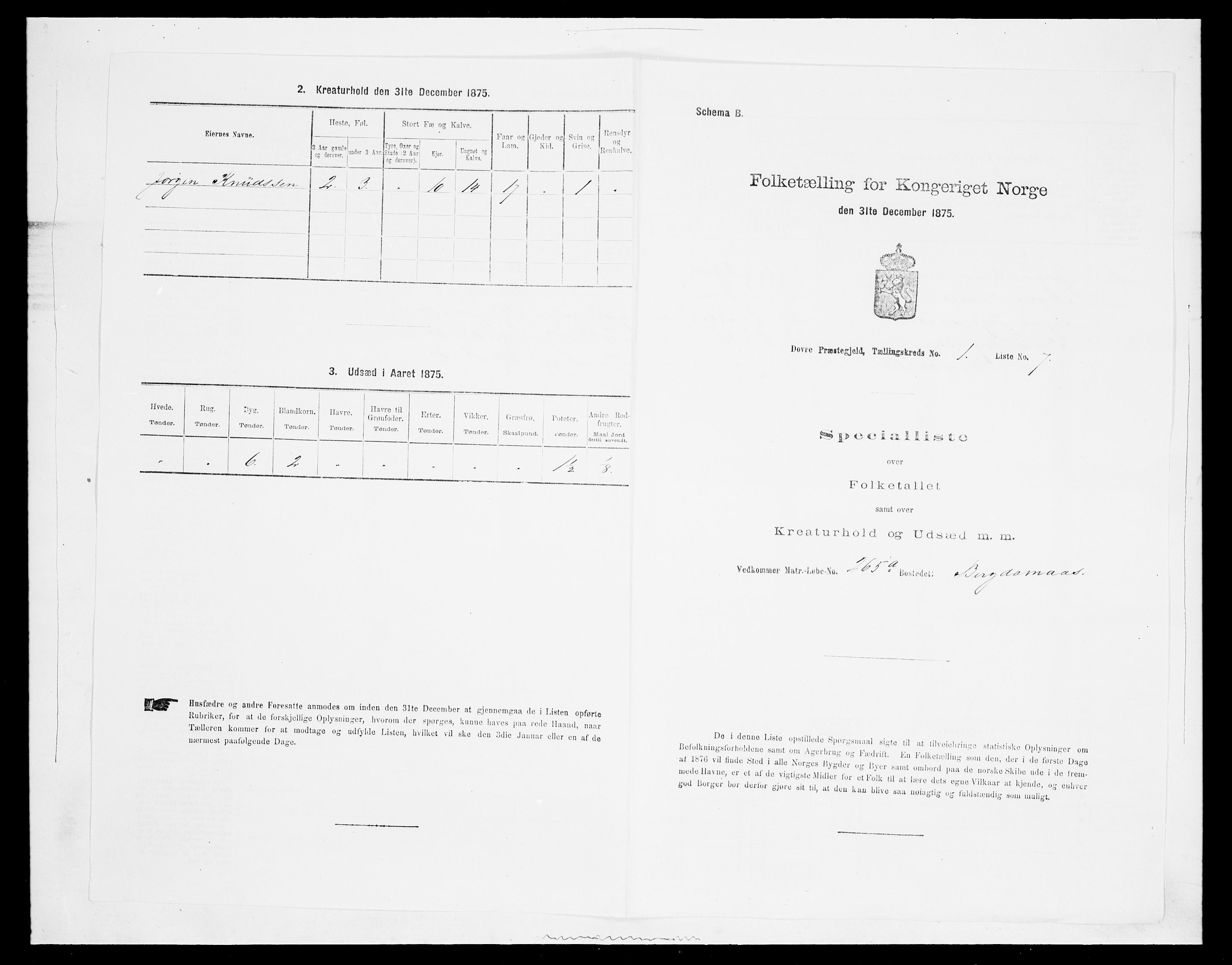 SAH, 1875 census for 0511P Dovre, 1875, p. 67