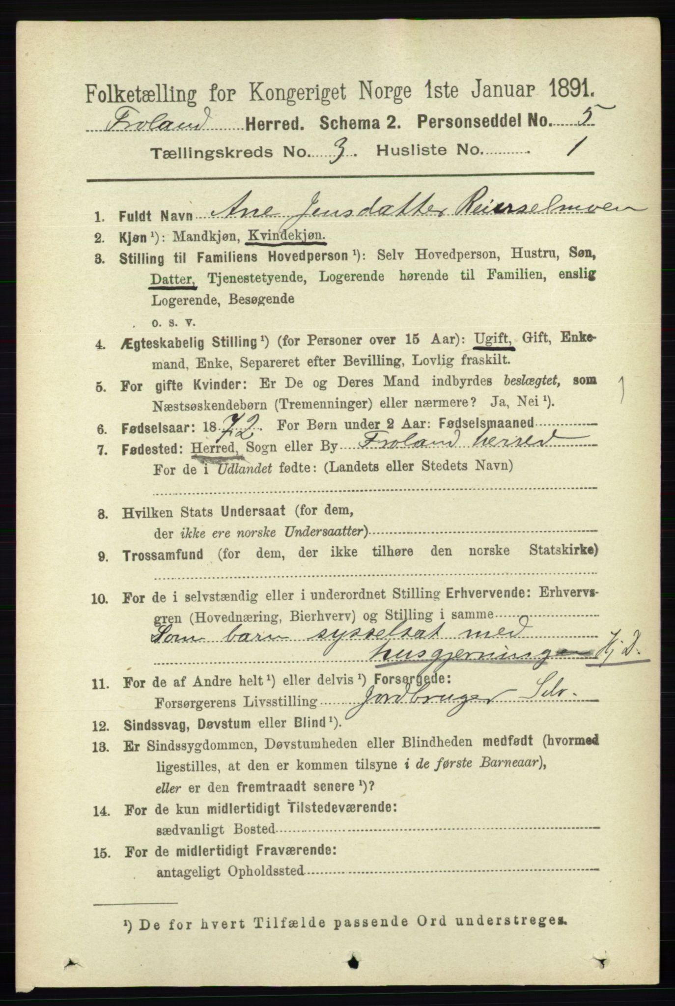 RA, 1891 census for 0919 Froland, 1891, p. 1019