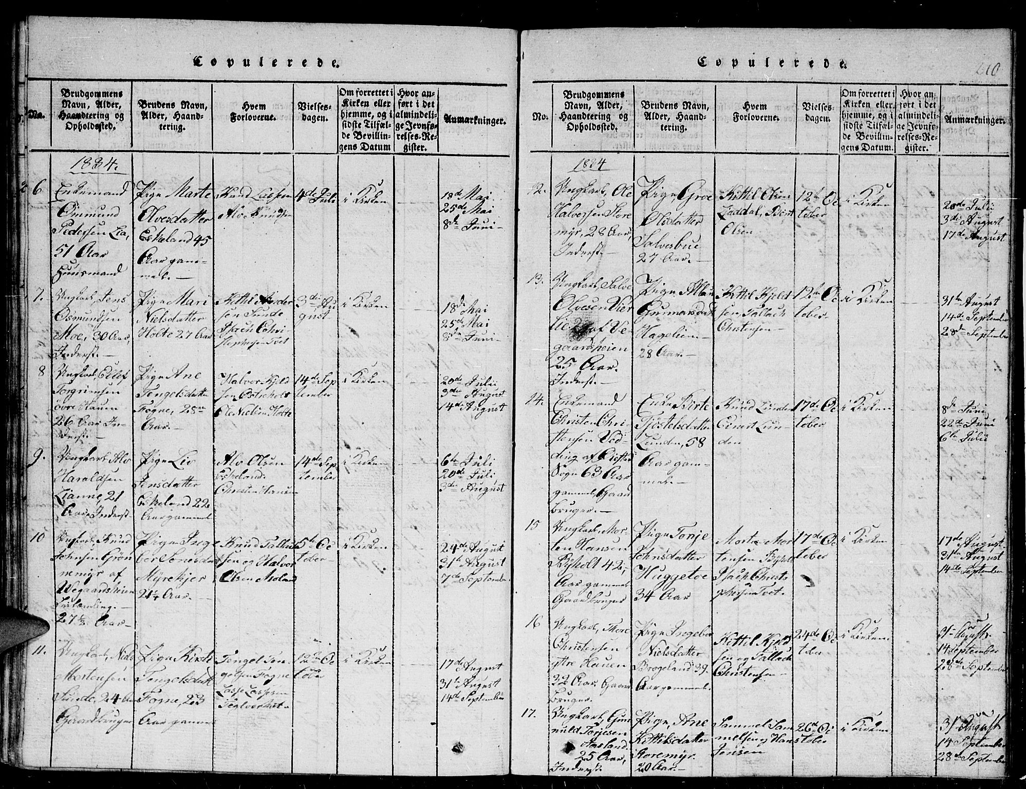 Gjerstad sokneprestkontor, AV/SAK-1111-0014/F/Fb/Fba/L0002: Parish register (copy) no. B 2, 1816-1845, p. 210