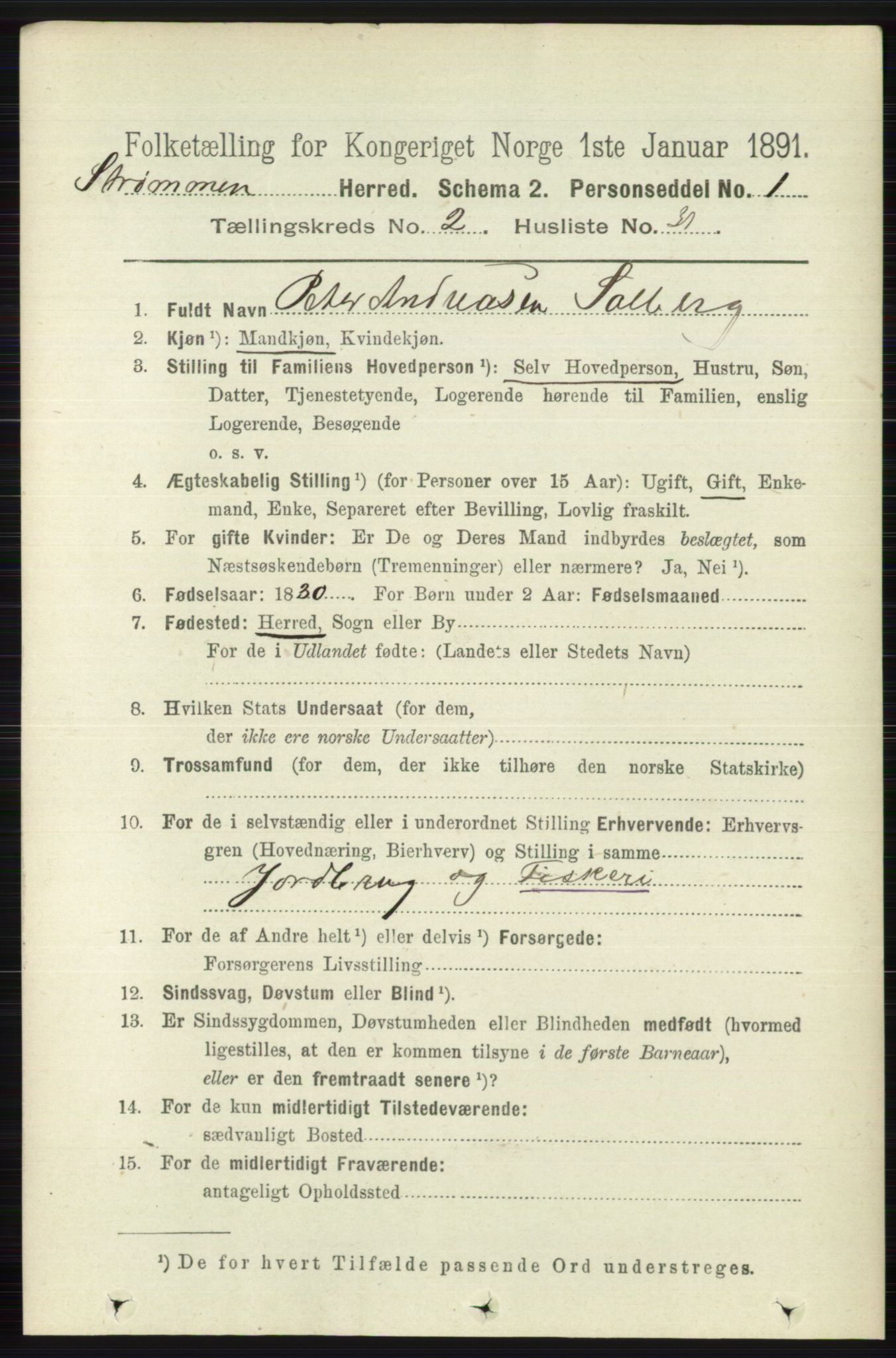 RA, 1891 census for 0711 Strømm, 1891, p. 872