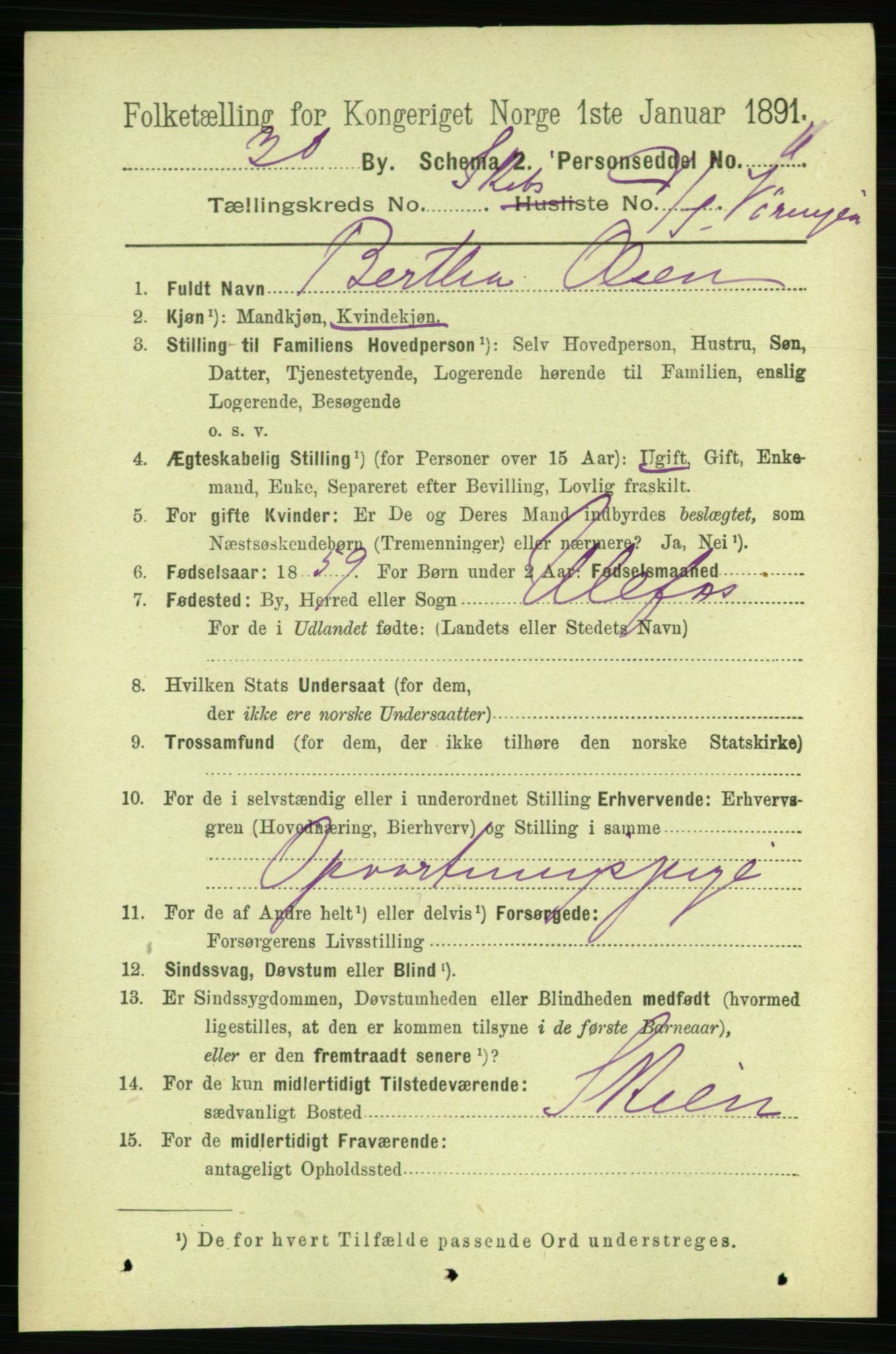 RA, 1891 census for 0806 Skien, 1891, p. 11507