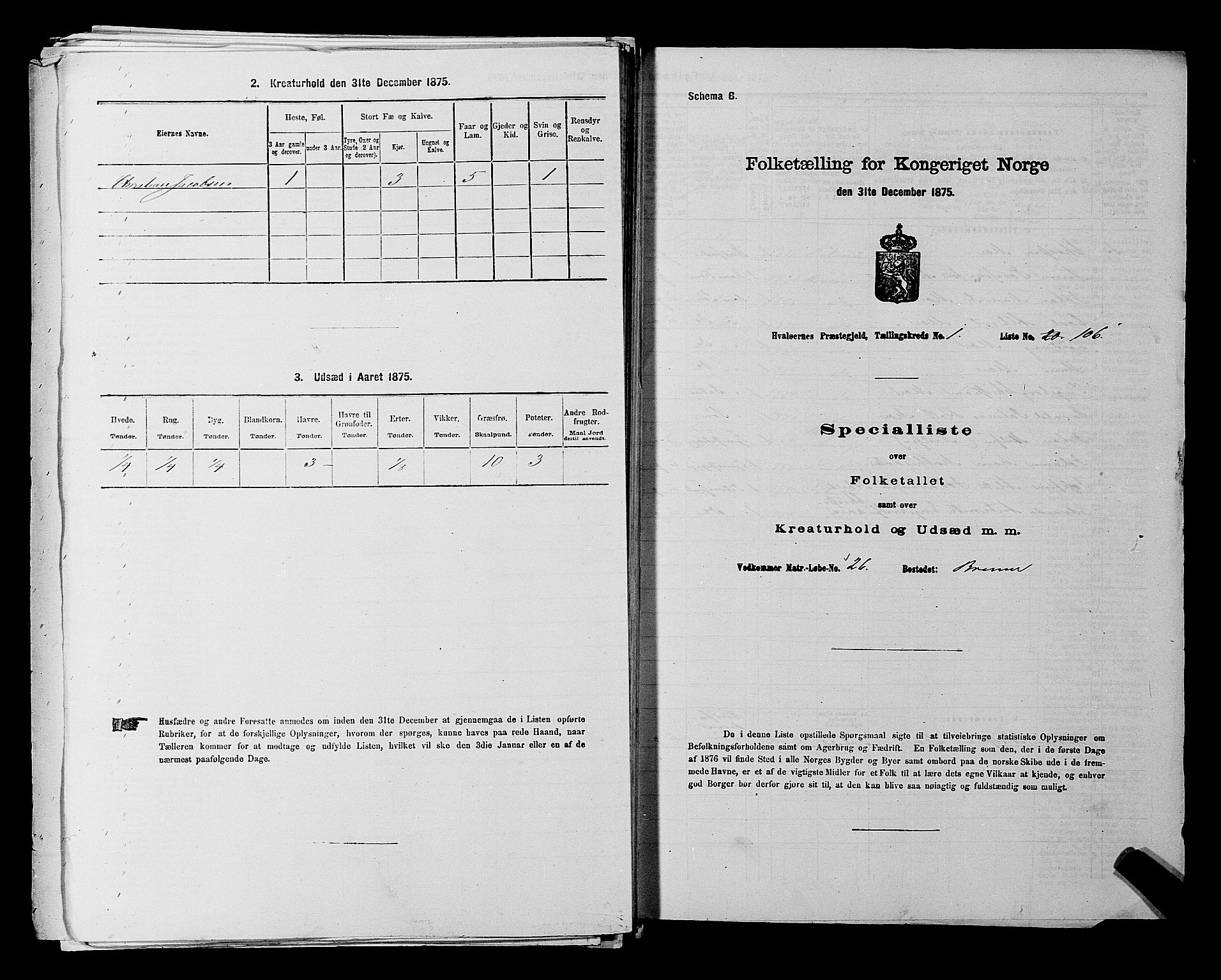 RA, 1875 census for 0111P Hvaler, 1875, p. 250