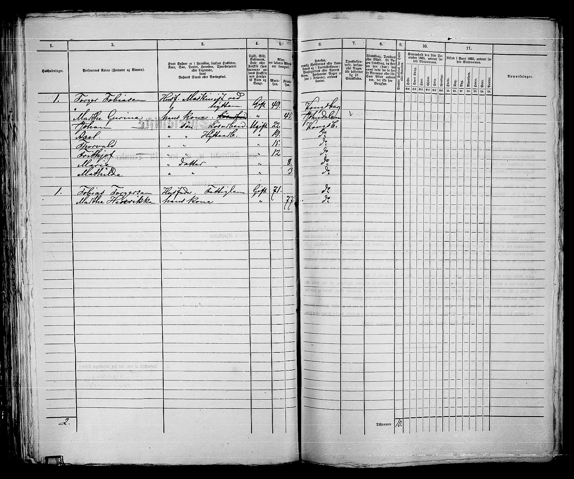 RA, 1865 census for Kongsberg/Kongsberg, 1865, p. 604