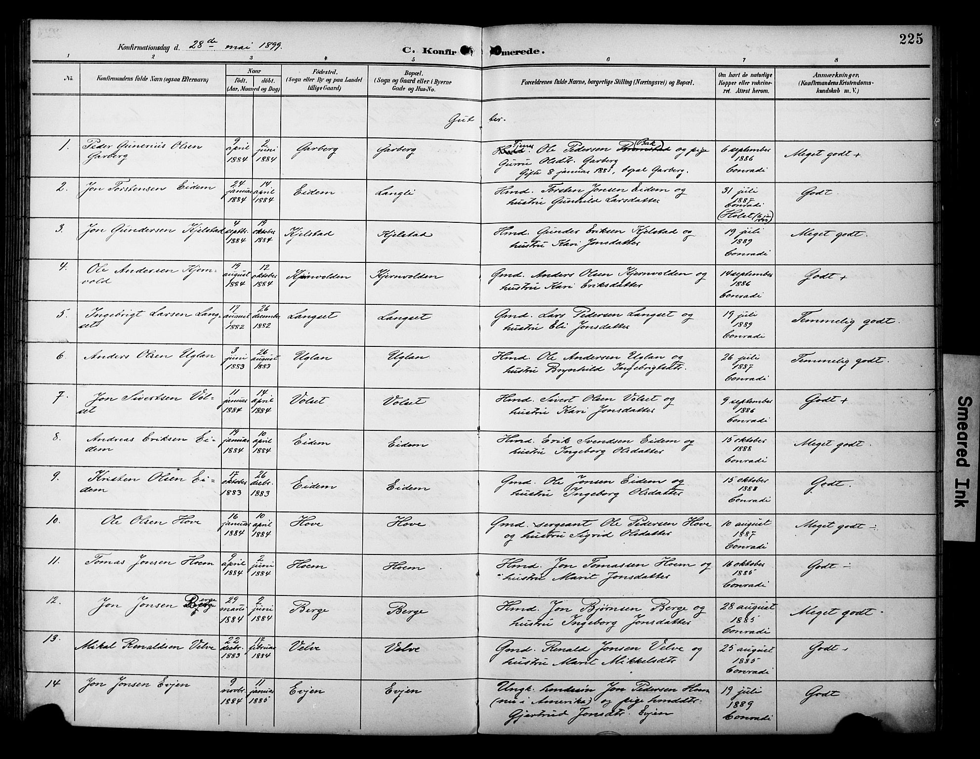 Ministerialprotokoller, klokkerbøker og fødselsregistre - Sør-Trøndelag, AV/SAT-A-1456/695/L1149: Parish register (official) no. 695A09, 1891-1902, p. 225