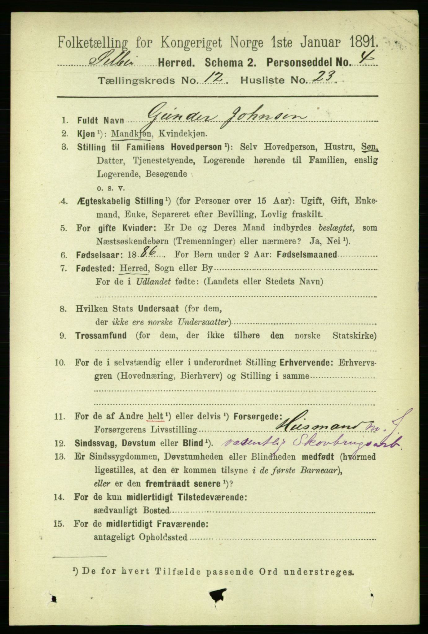 RA, 1891 census for 1664 Selbu, 1891, p. 4531