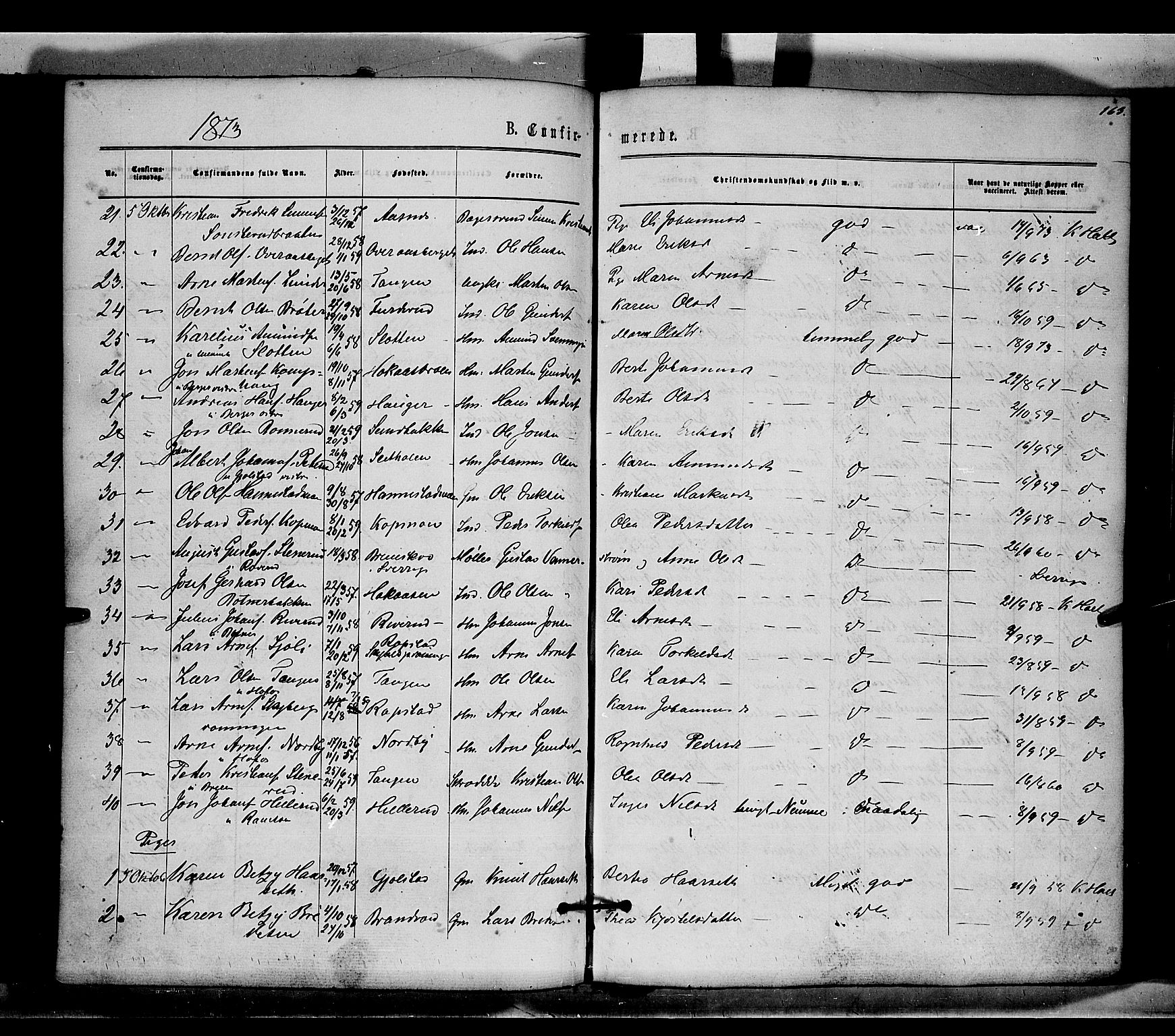 Brandval prestekontor, SAH/PREST-034/H/Ha/Haa/L0001: Parish register (official) no. 1, 1864-1879, p. 163
