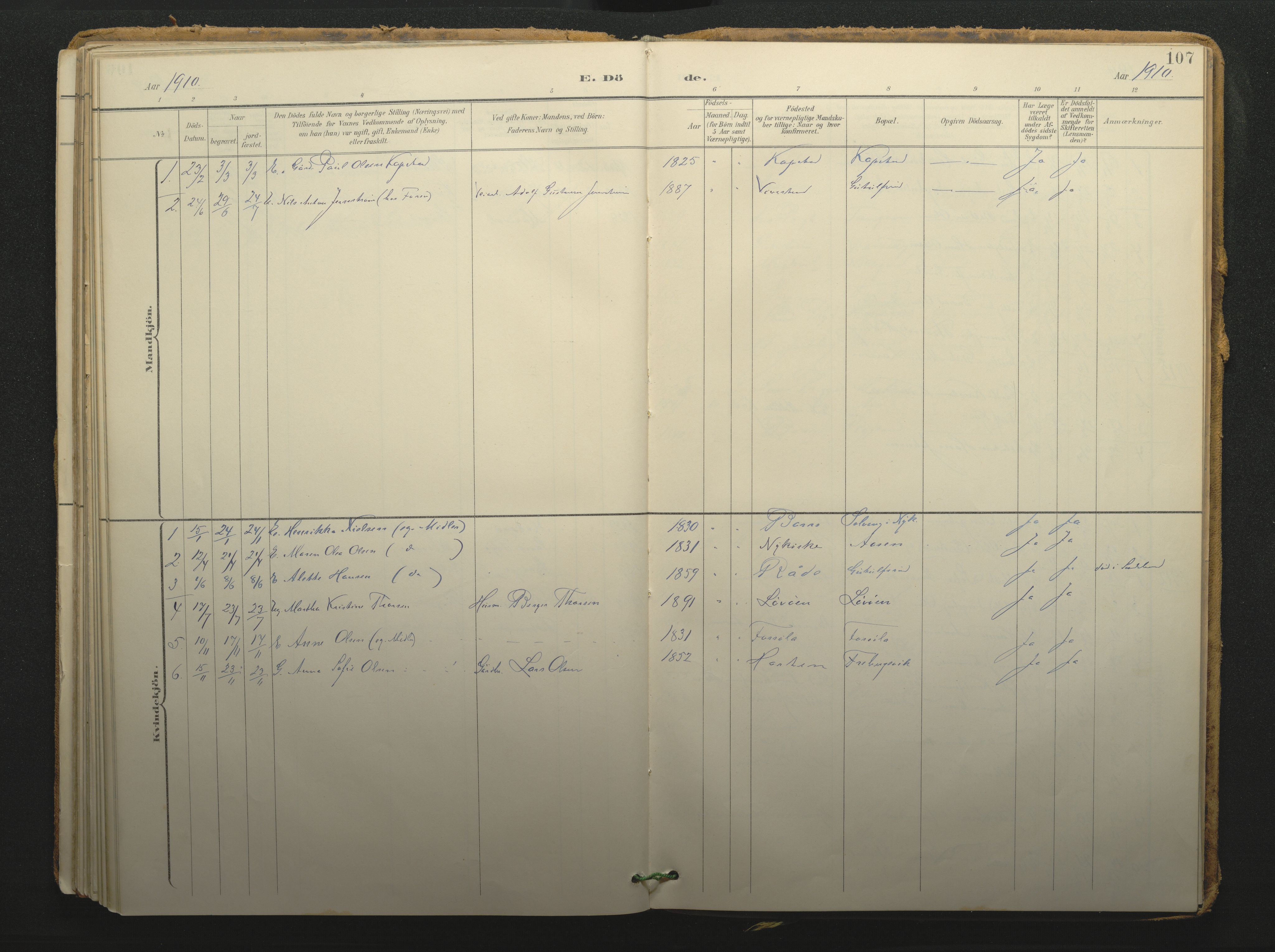 Borre kirkebøker, SAKO/A-338/F/Fc/L0003: Parish register (official) no. III 3, 1896-1919, p. 107