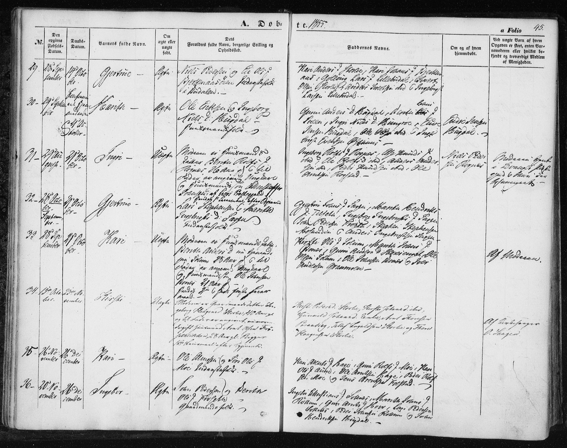 Ministerialprotokoller, klokkerbøker og fødselsregistre - Sør-Trøndelag, SAT/A-1456/687/L1000: Parish register (official) no. 687A06, 1848-1869, p. 45