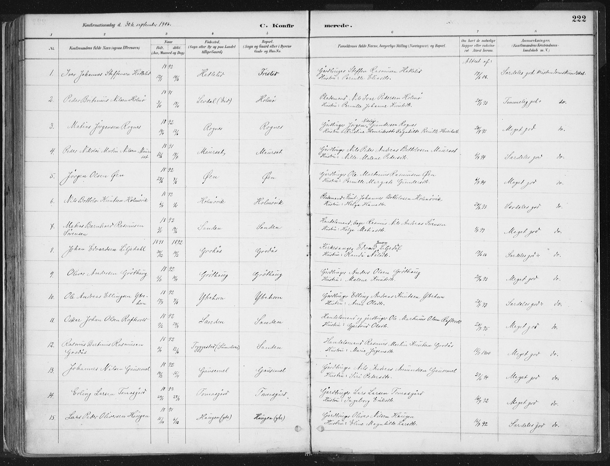 Hornindal sokneprestembete, AV/SAB-A-82401/H/Haa/Haaa/L0003/0001: Parish register (official) no. A 3A, 1887-1917, p. 222