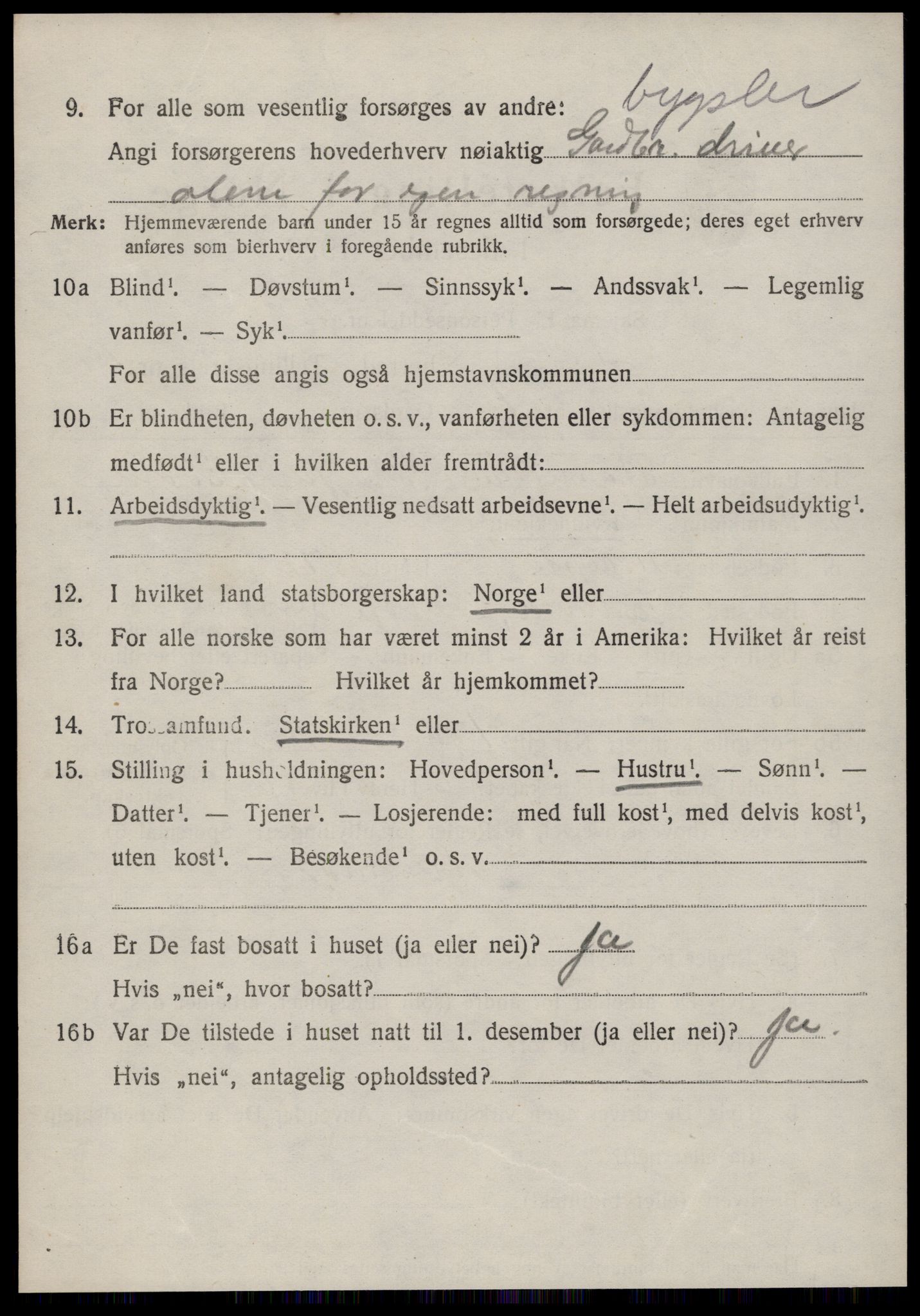 SAT, 1920 census for Volda, 1920, p. 10113